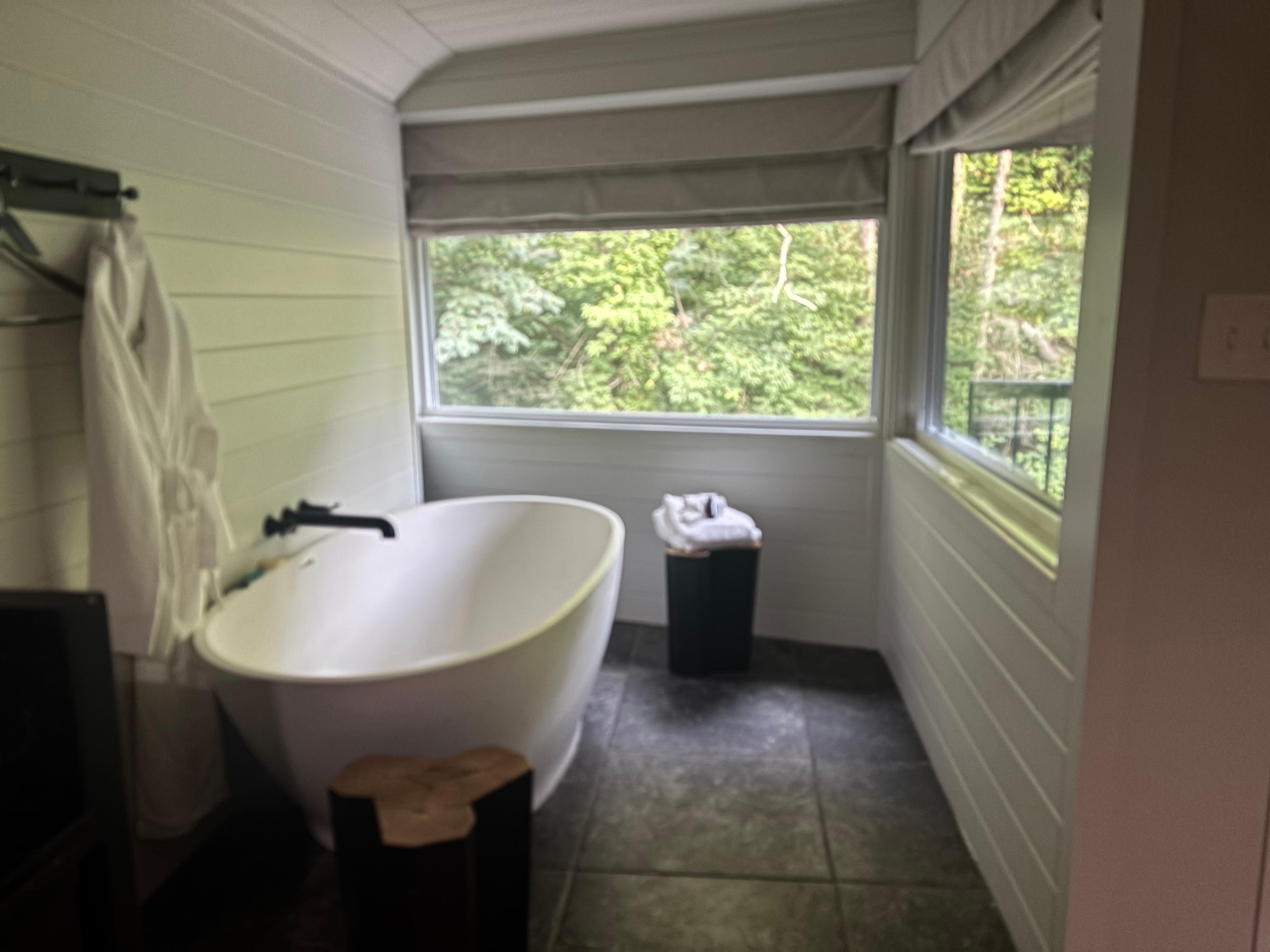 Tub with a view 