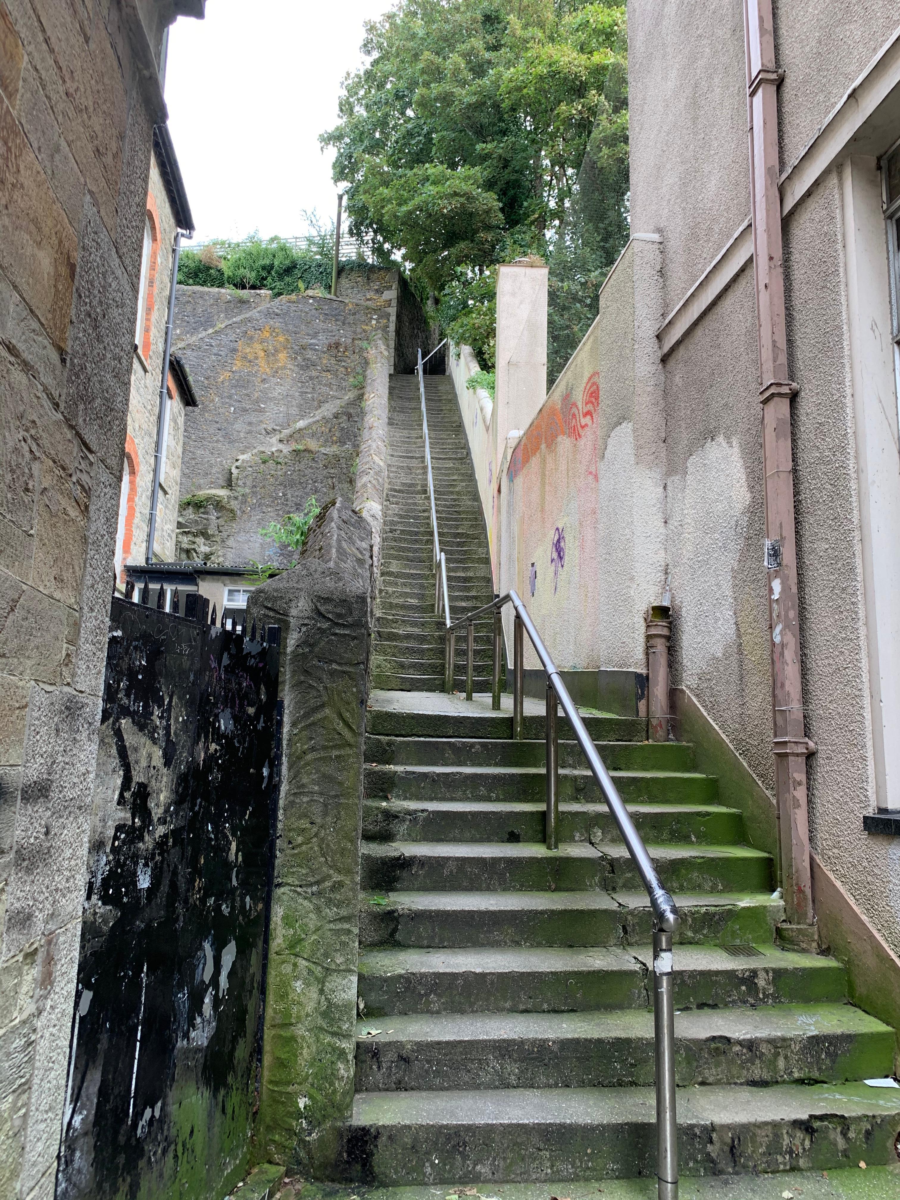 Jacobs ladder steps 