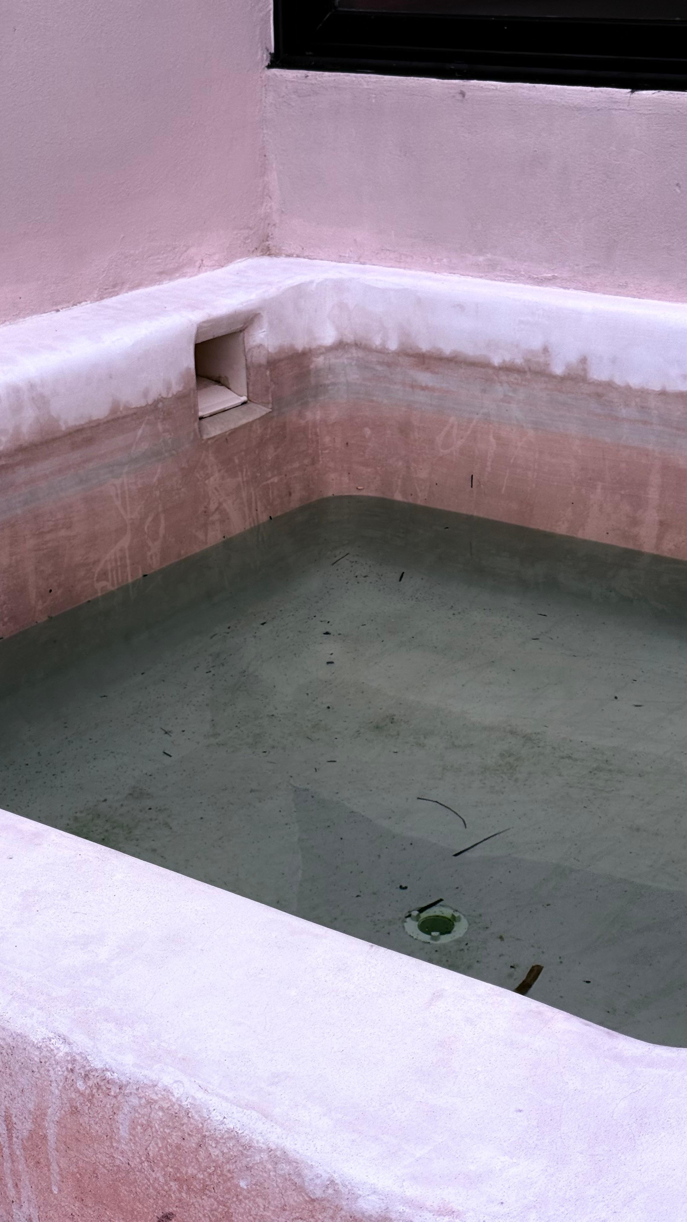 The real plunge pool