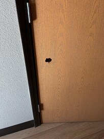 Hole in the back of the bathroom door