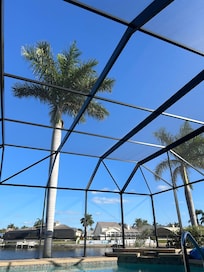 The view from the pool đ