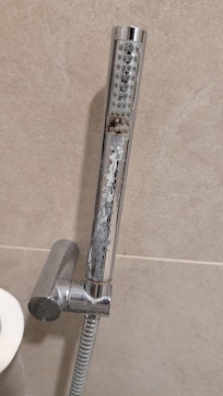 Bathroom wand covered in feces, hair and shower gel