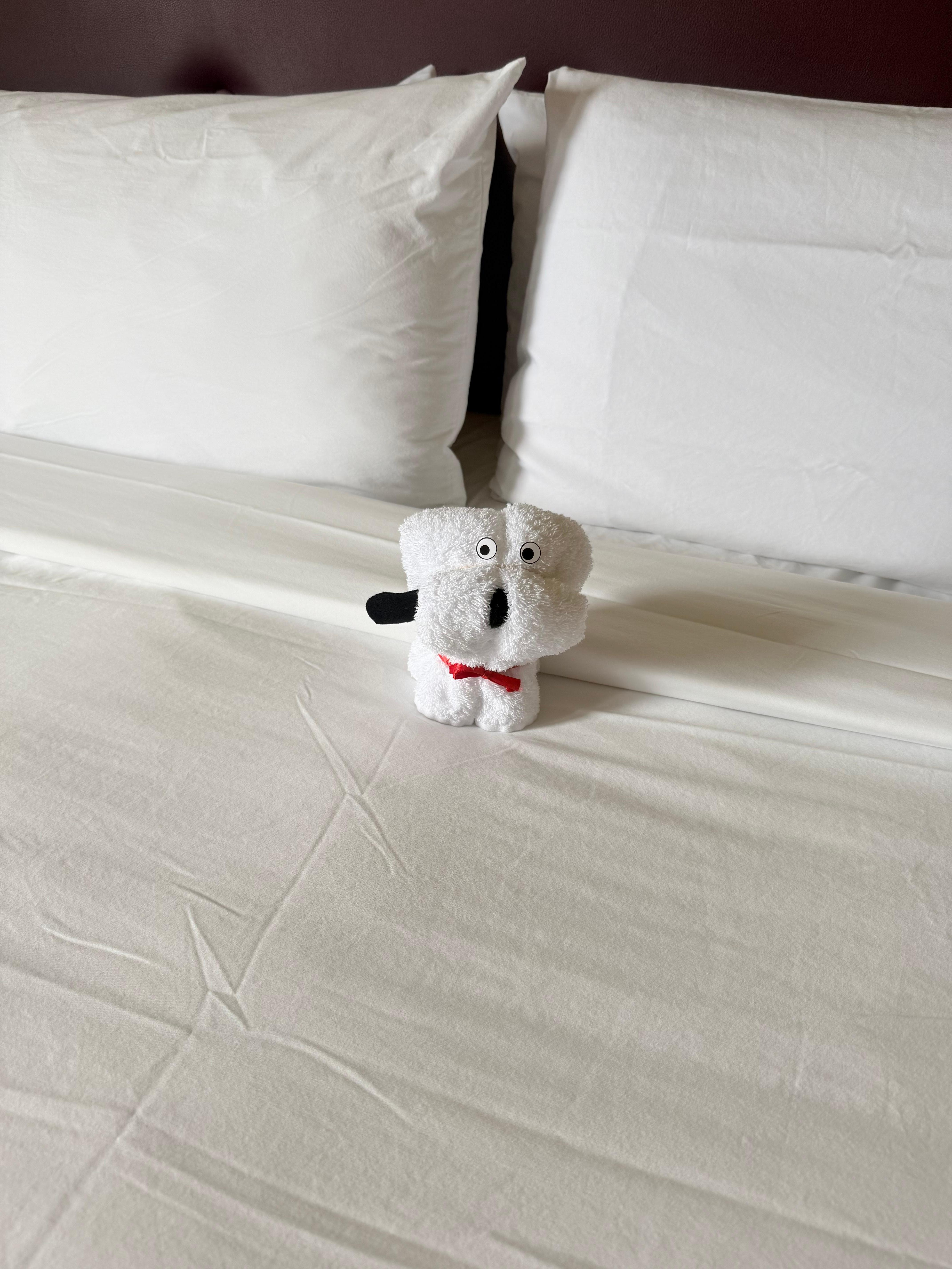 I just loved this puppy 🥰