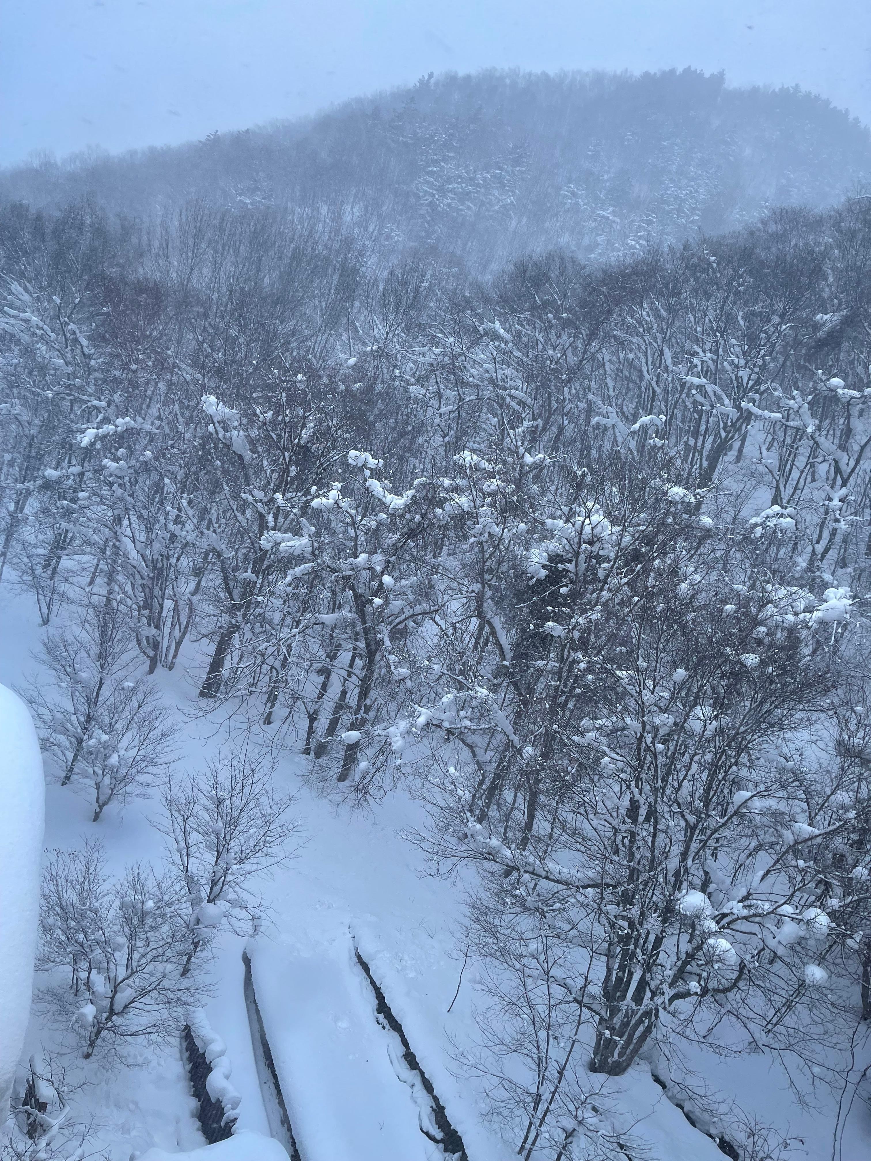 超パウダースノー