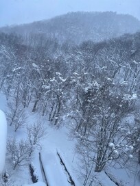 超パウダースノー