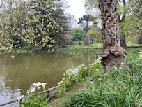 Park