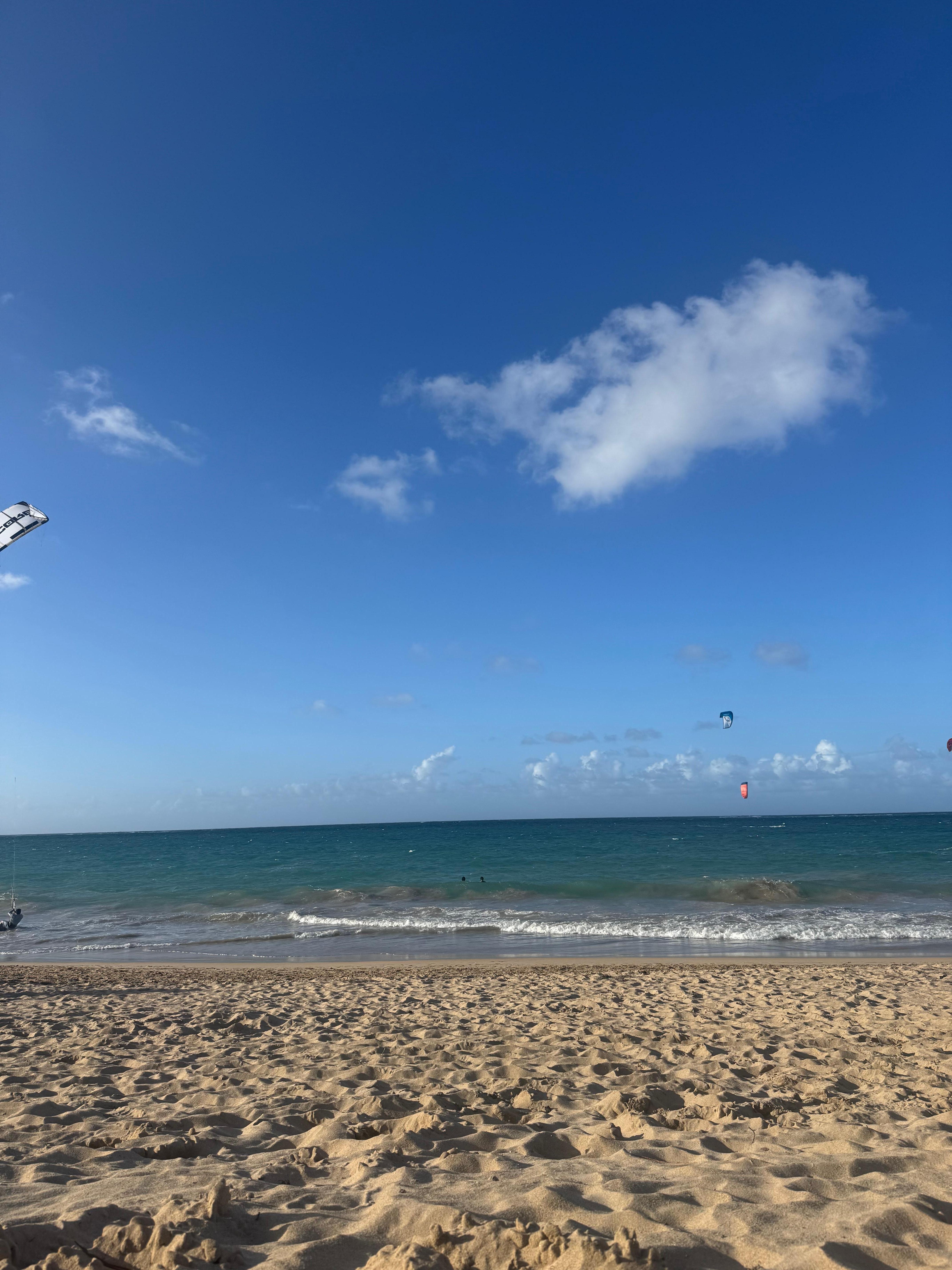 Boardwalk near the house