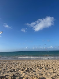Boardwalk near the house