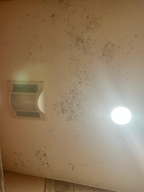 This is the mold upstairs