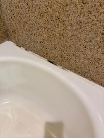Bathroom mold