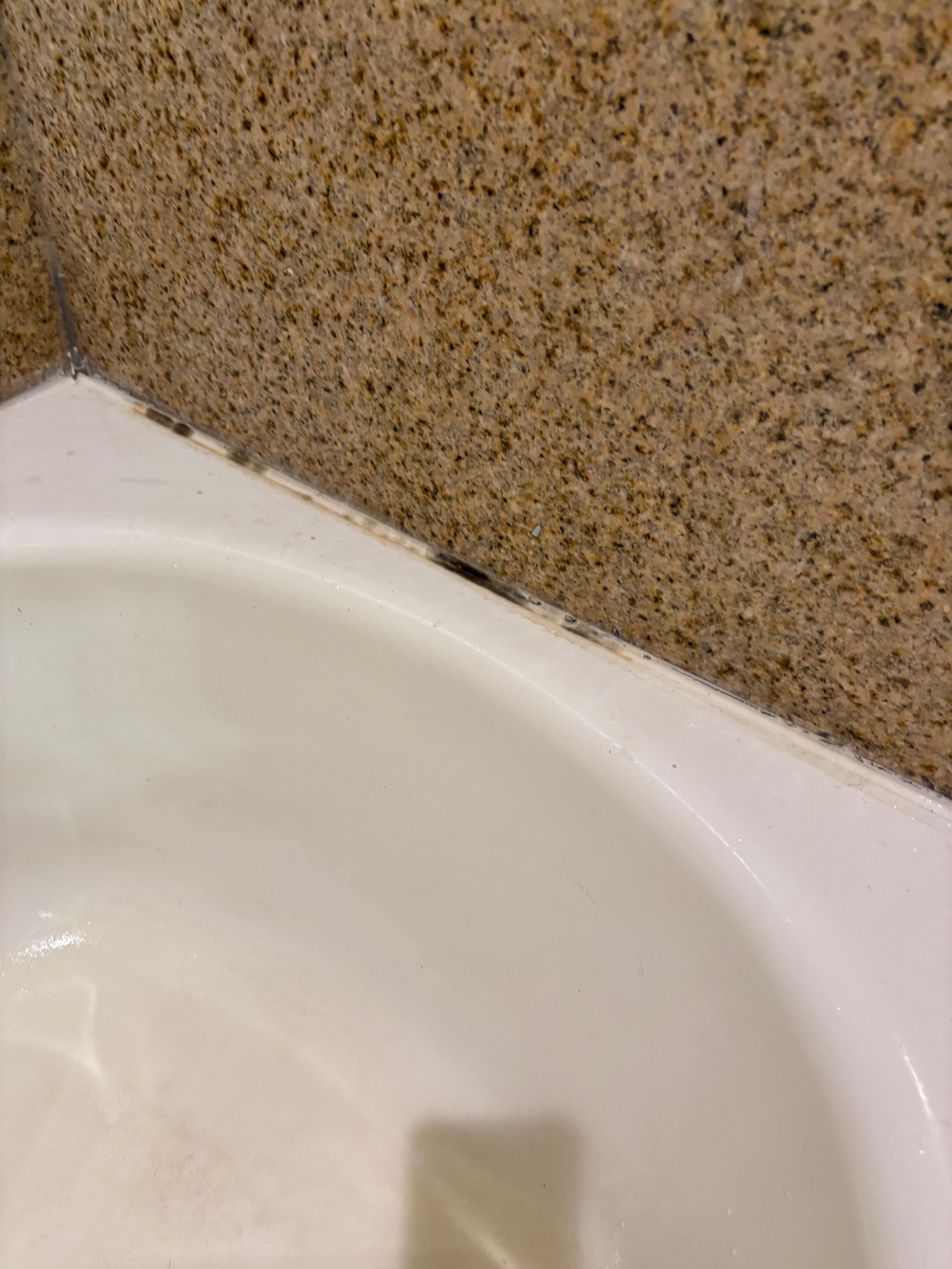 Bathroom mold