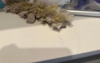 Dusty filthy hairy thing out in the open in the pantry