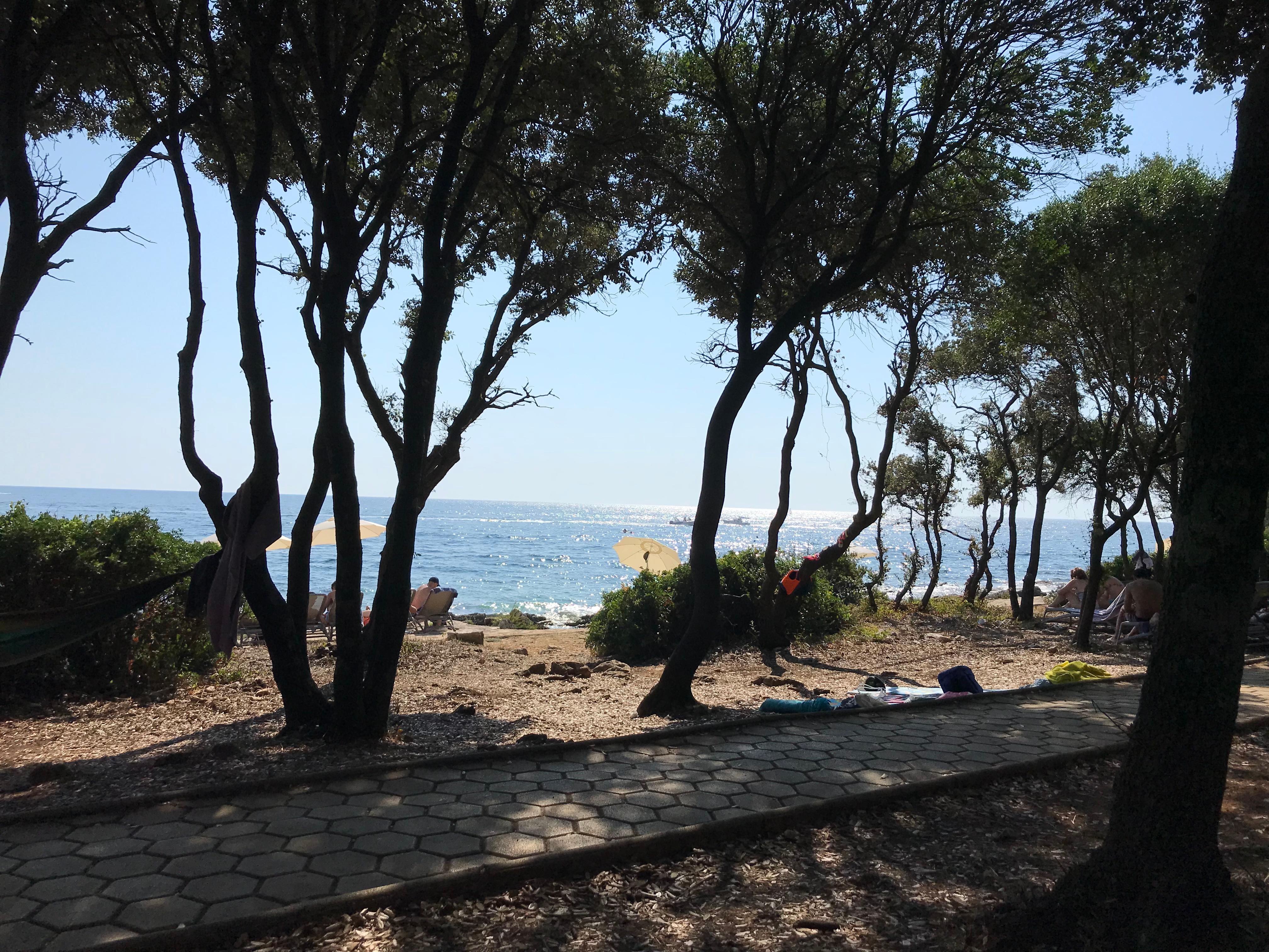 A l’ombre sous les chênes à 200m de la piscine