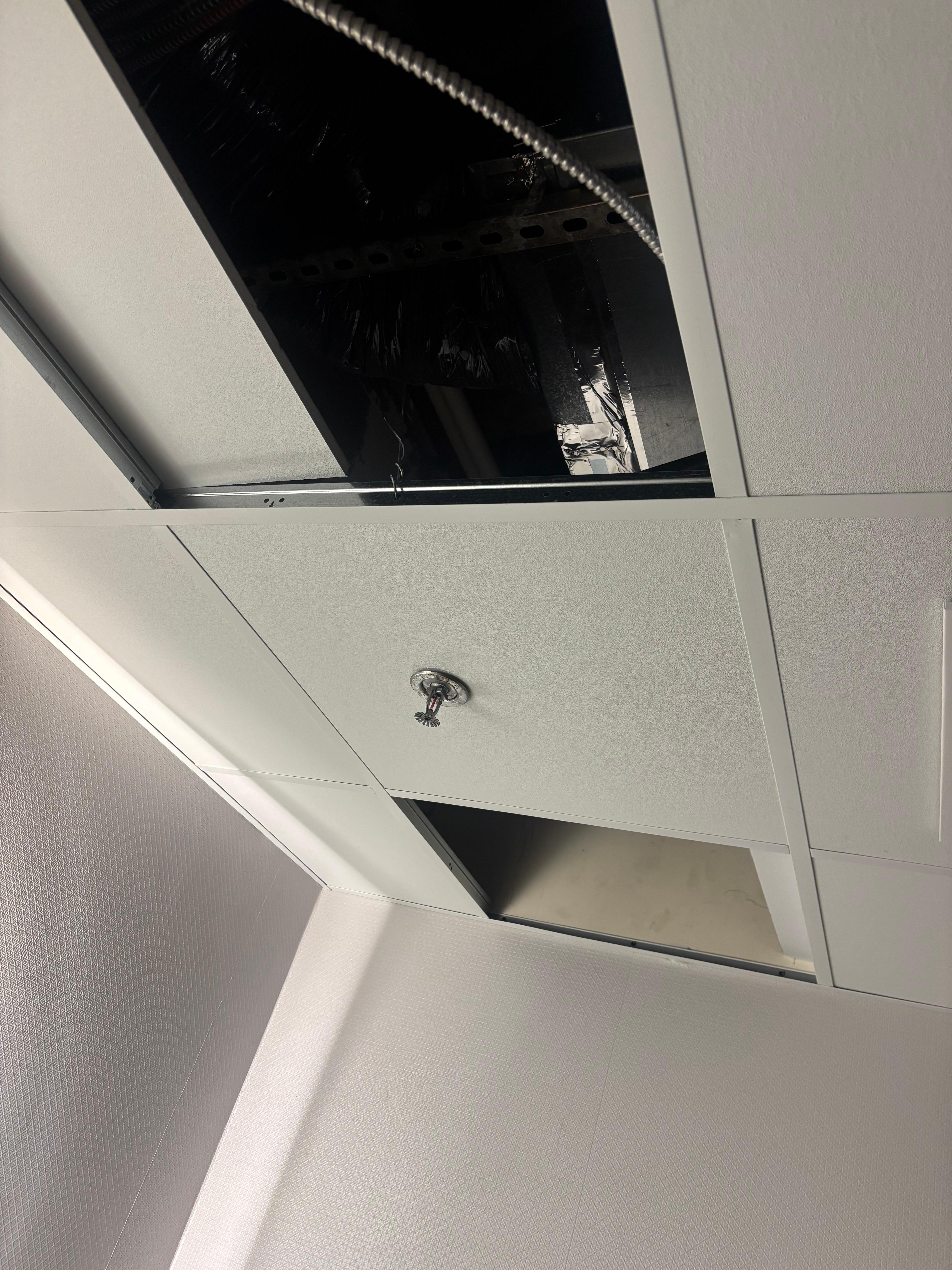 Bathroom ceiling tiles missing
