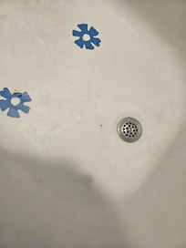 Filthy tub