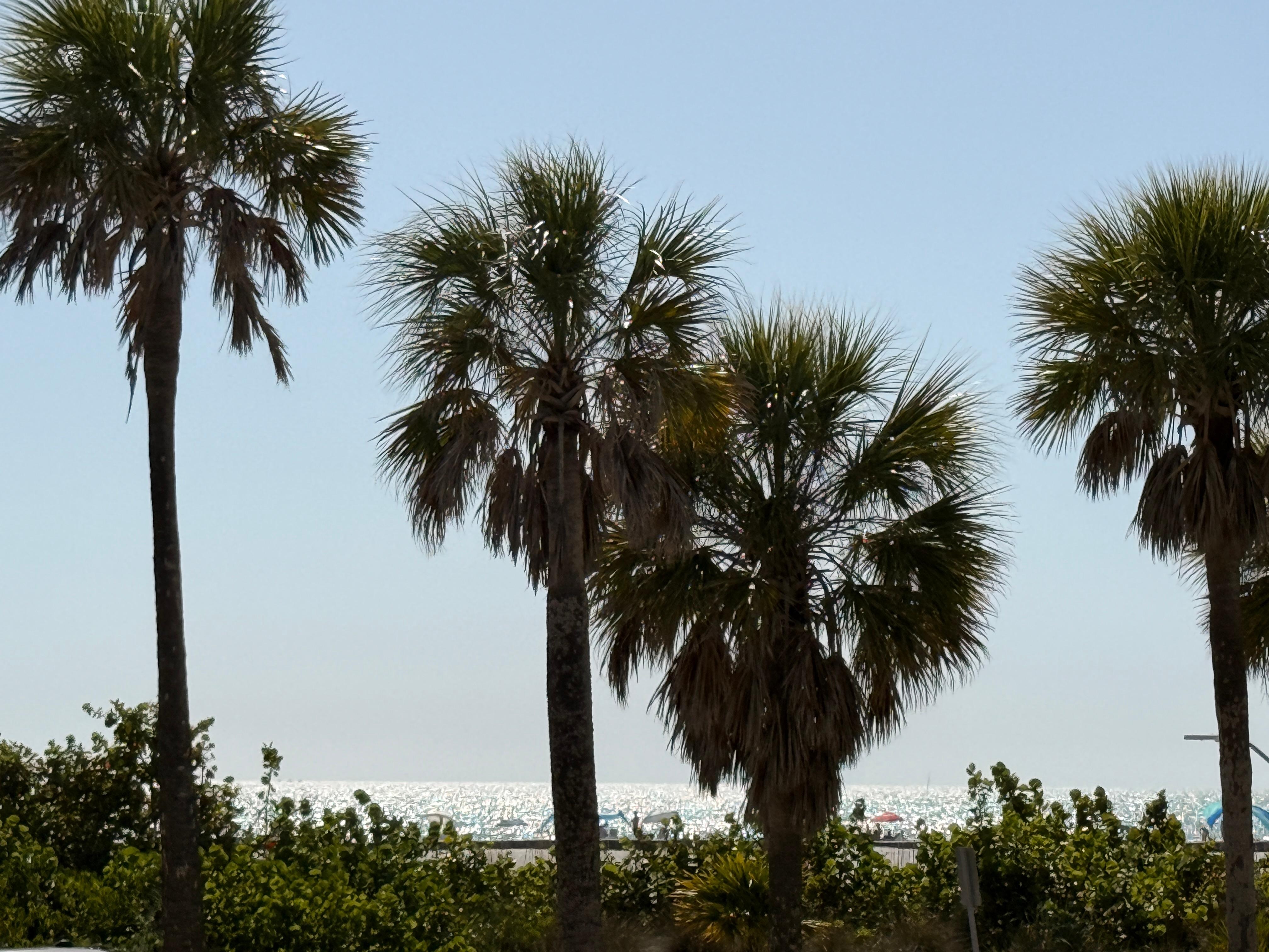 View from the pool deck