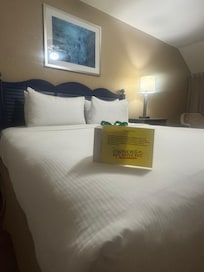 Master bedroom was huge