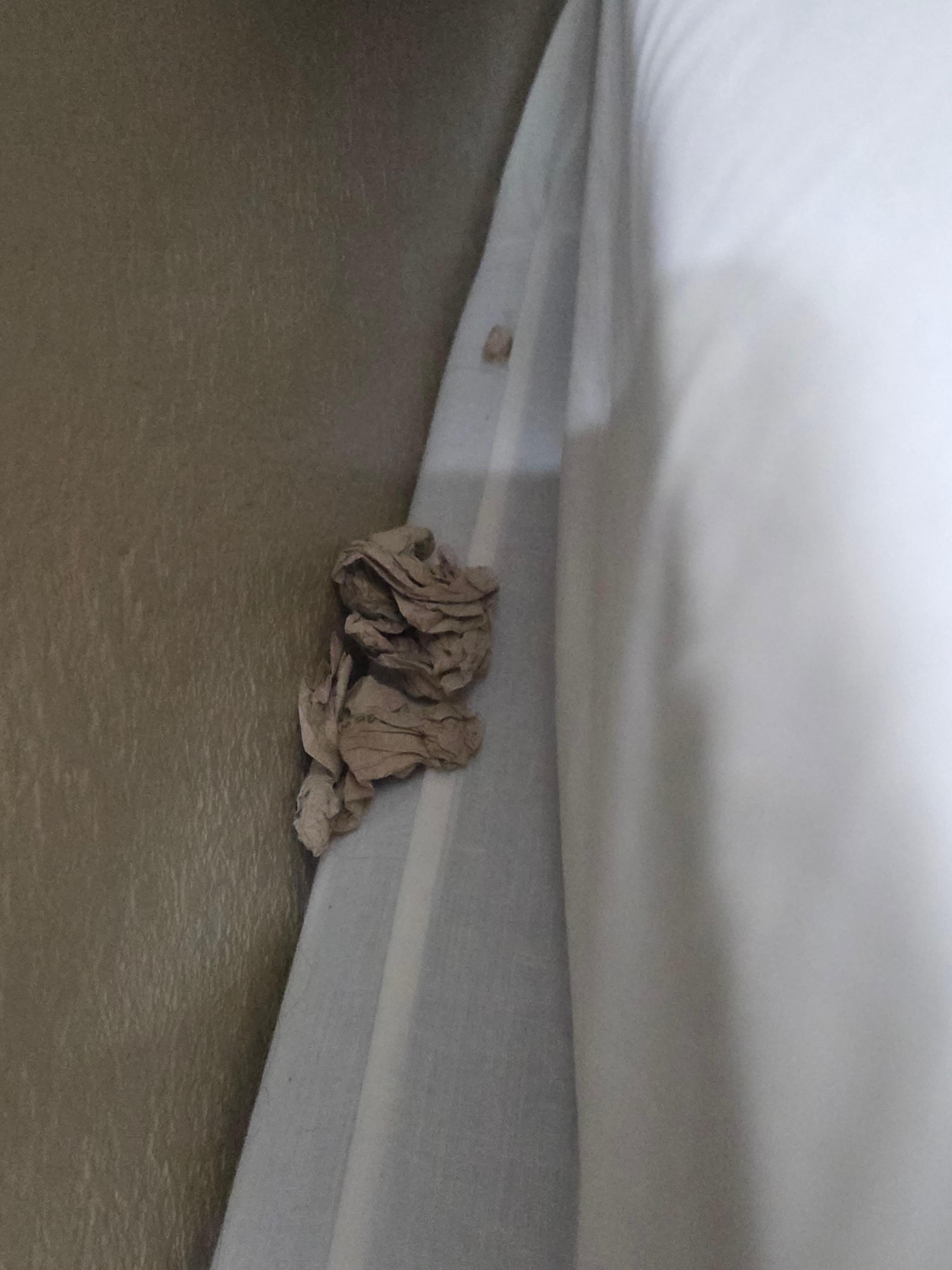Bread & napkins between bed & wall/headboard