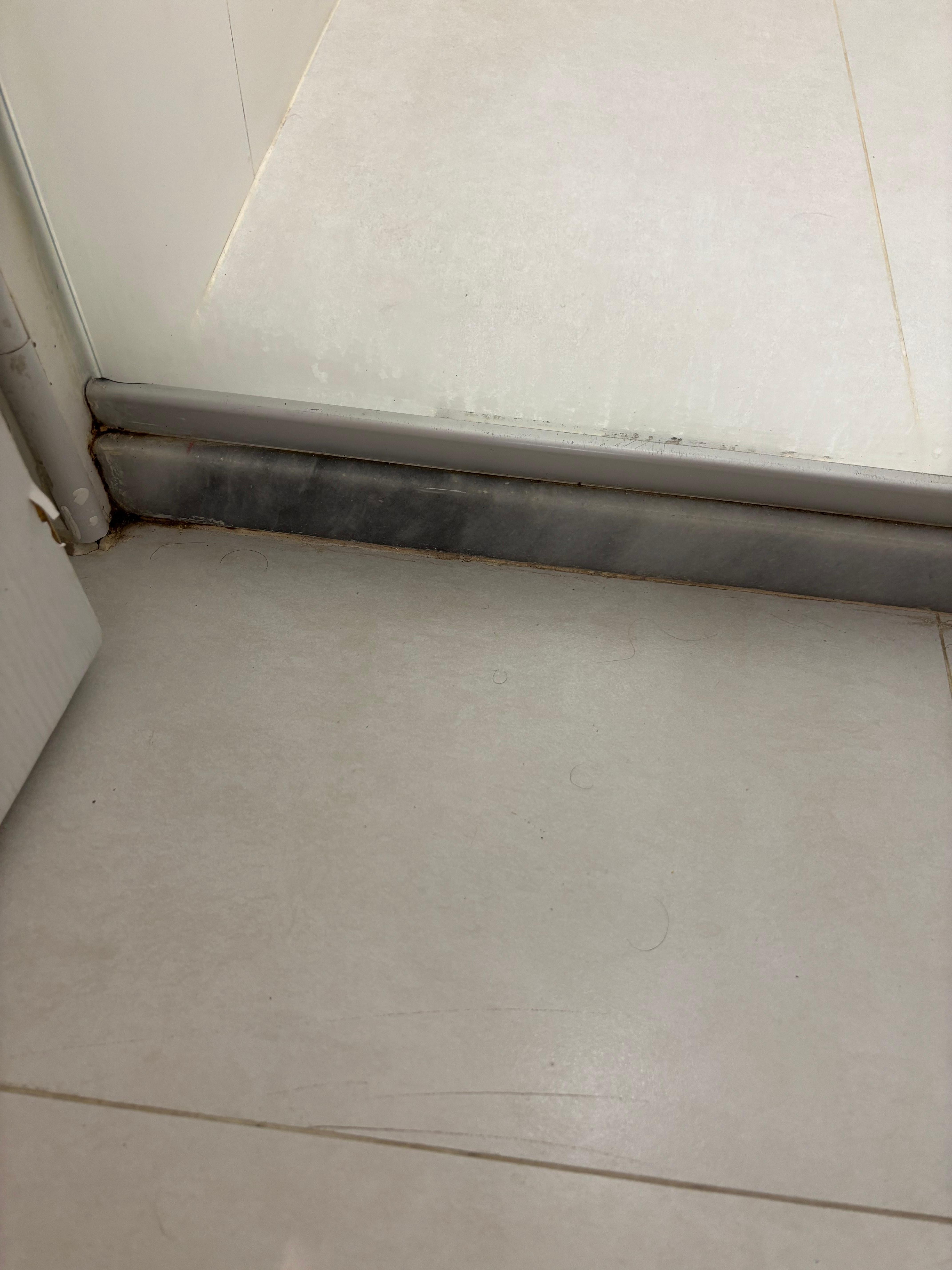 Piso sujo e com muitos pelos pelo chão.