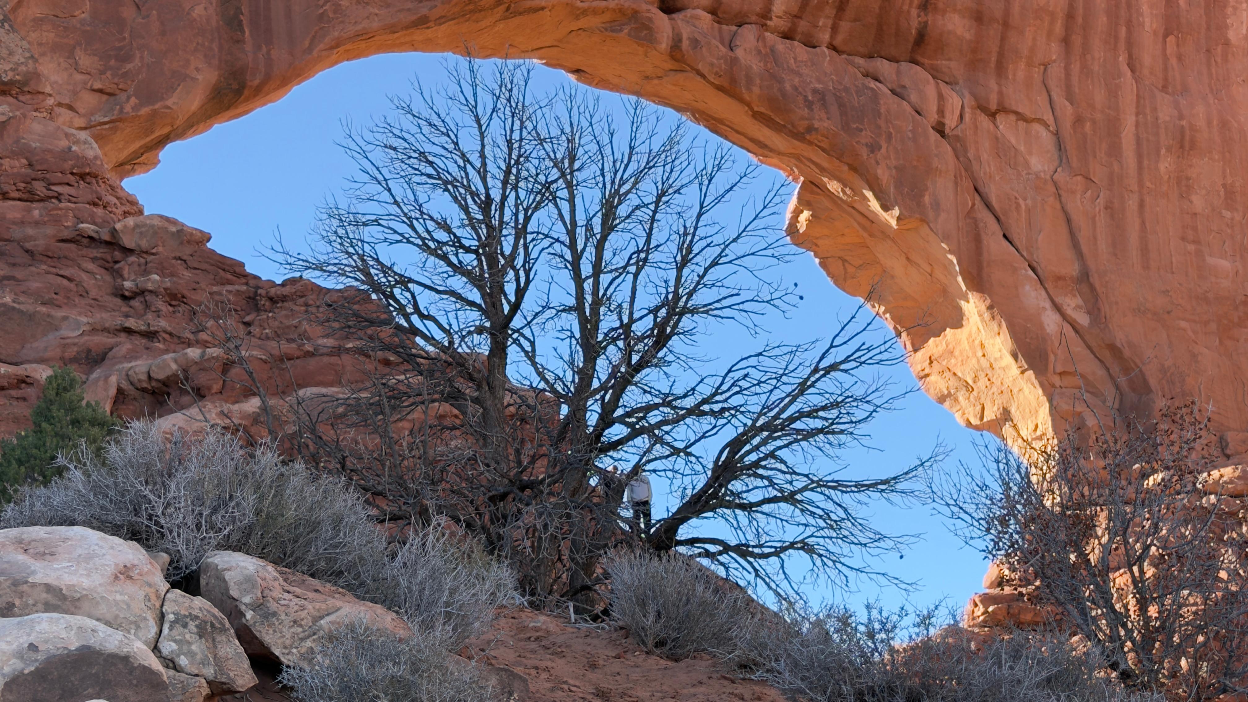 North Window Arch