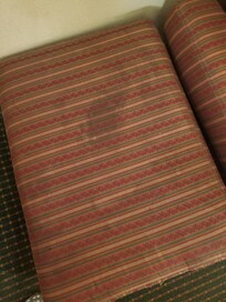 Horrible Cat spray everywhere