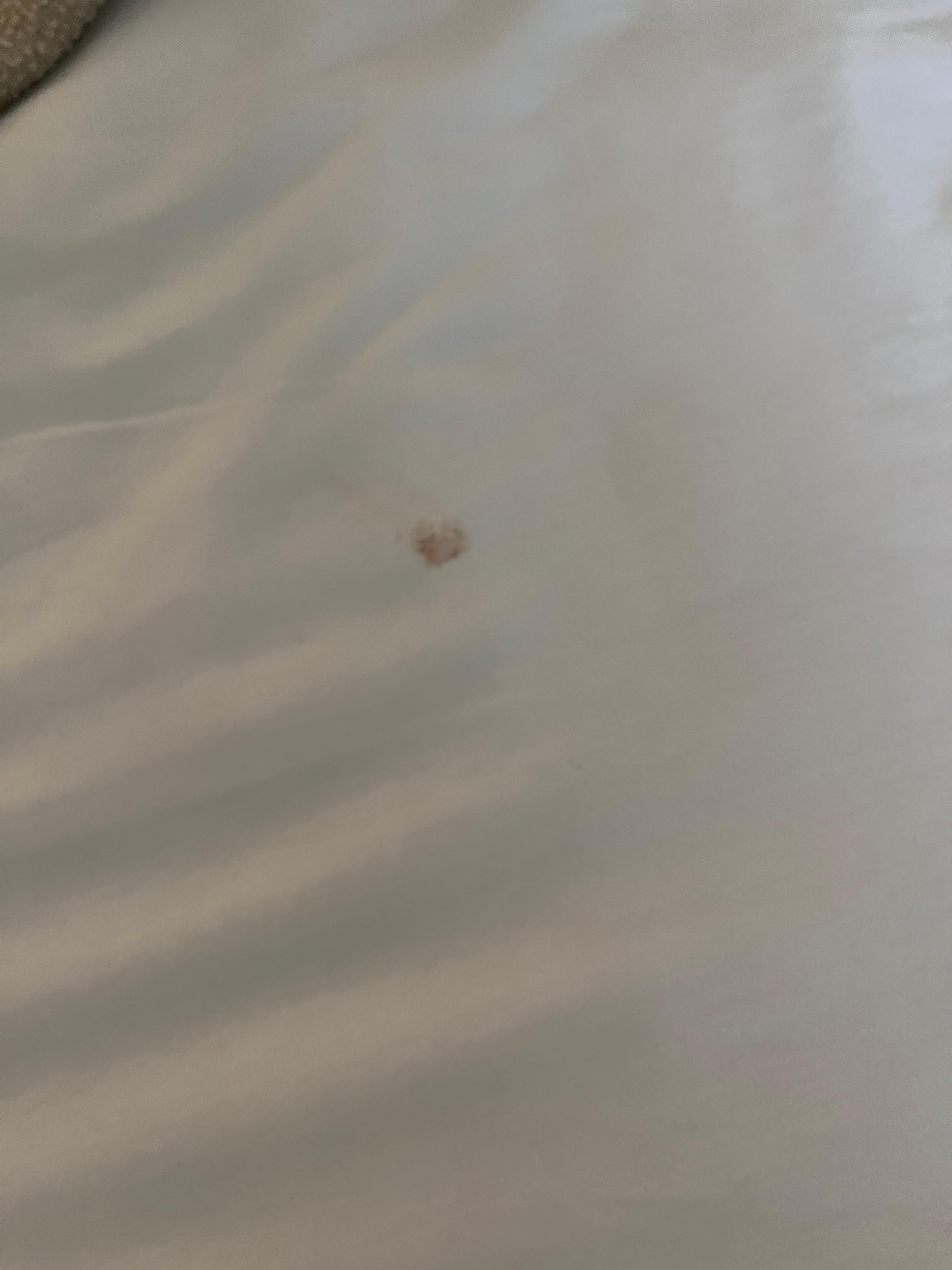 Red stain on the sheets!