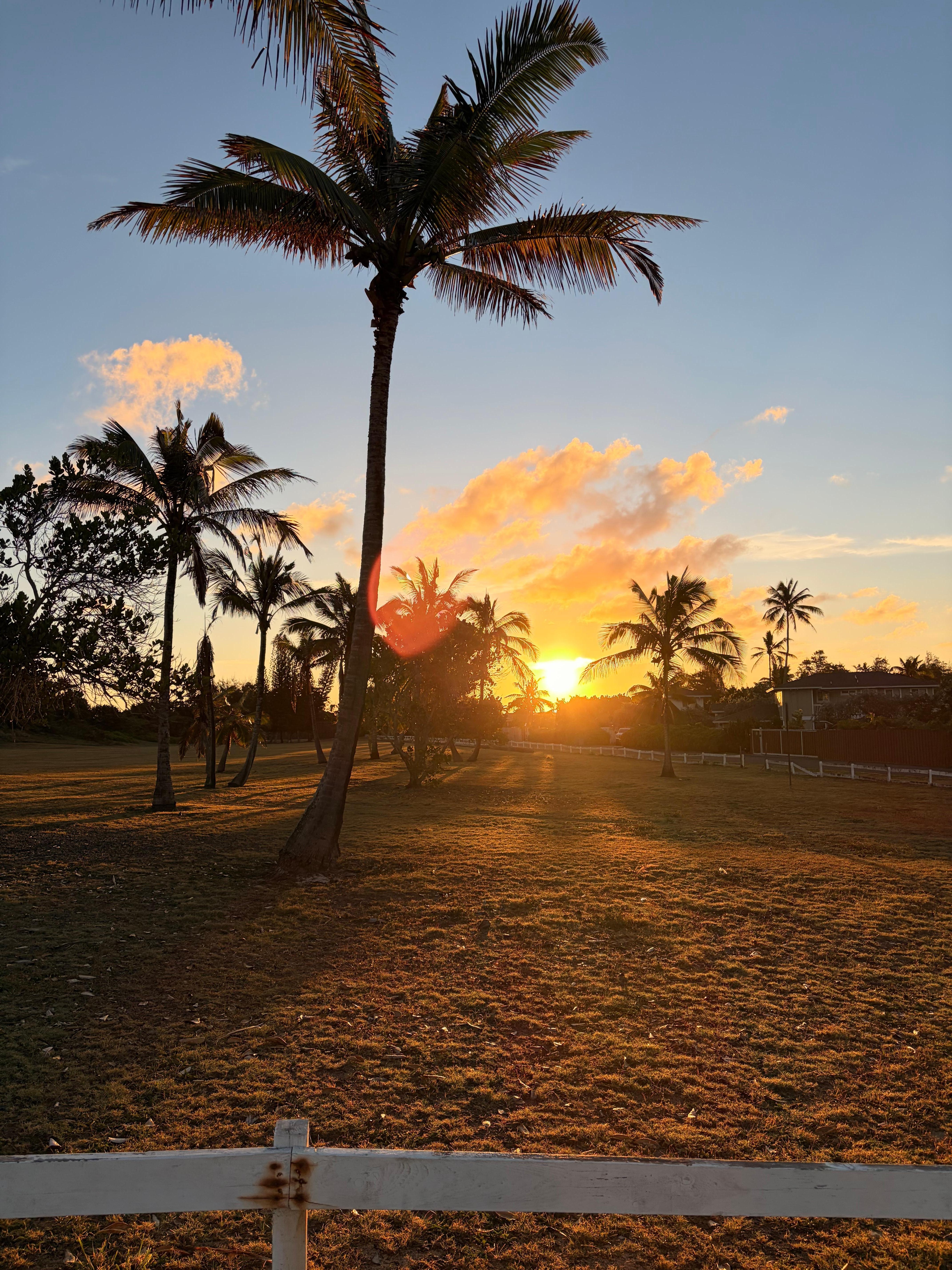 Sunrise over the Kahuku golf course 