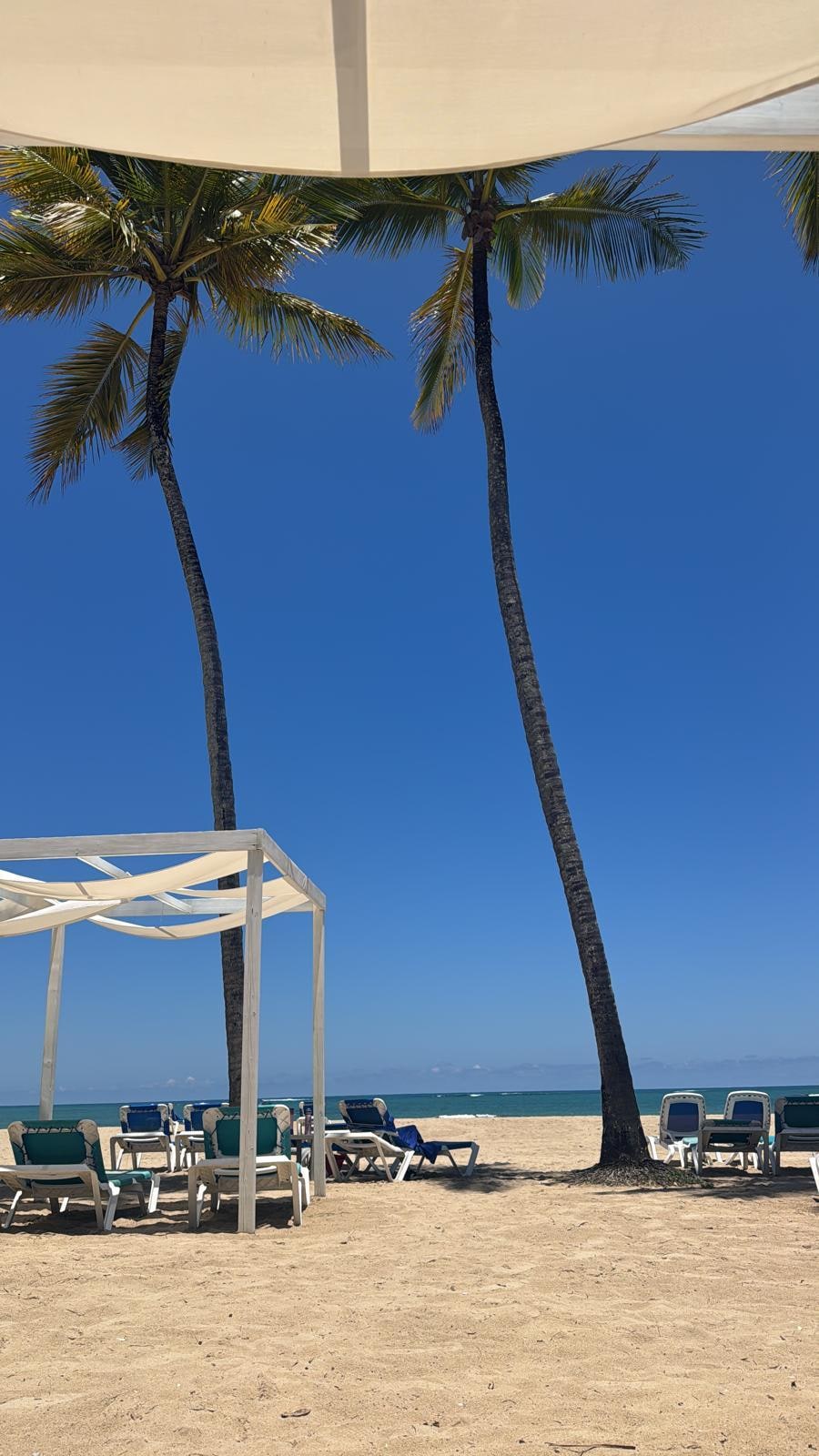 The beachfront property of the hotel. Fantastic views and comfortable. Lots of shade.