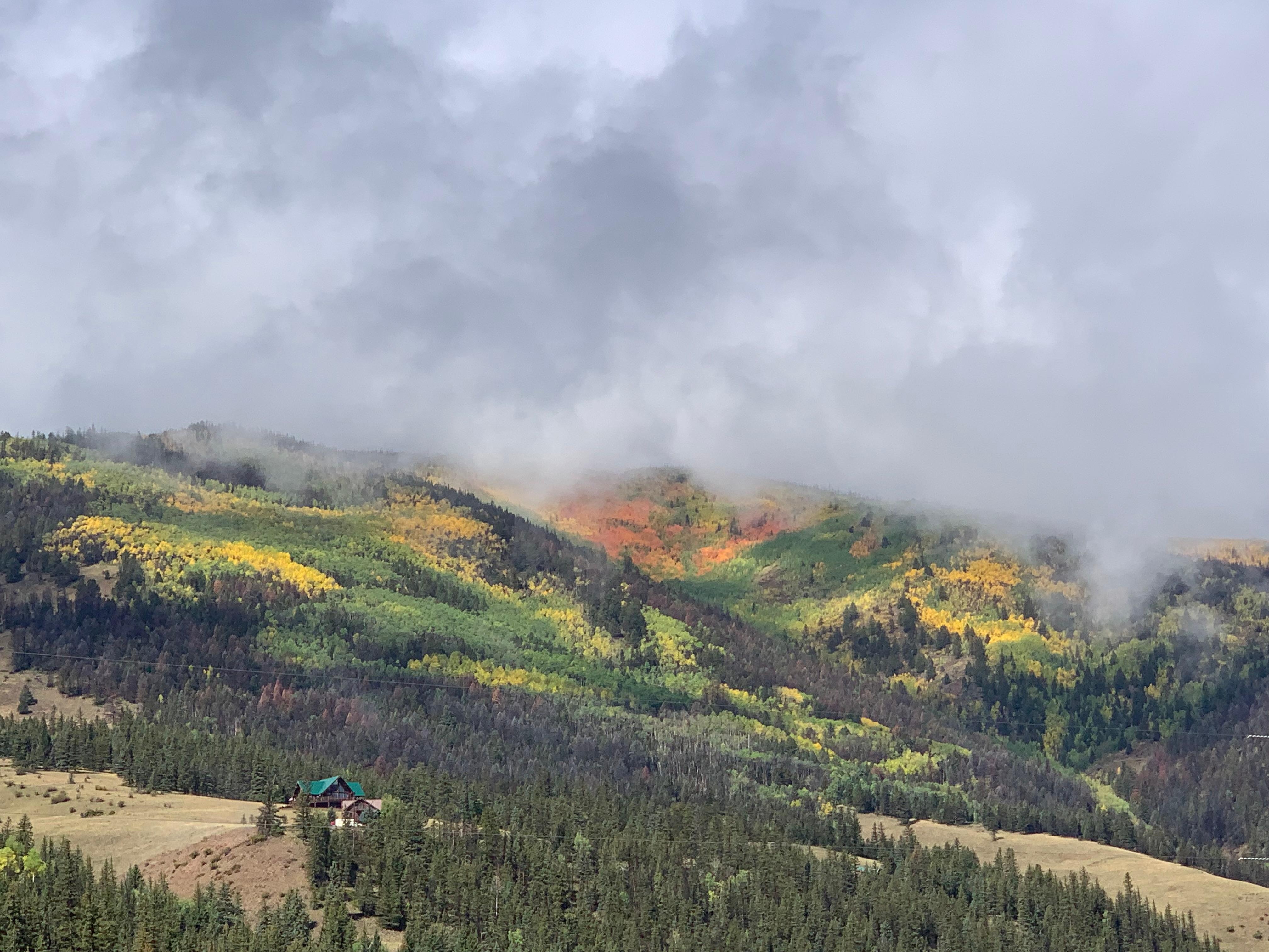 Majestic fall aspens up Pool Table Road