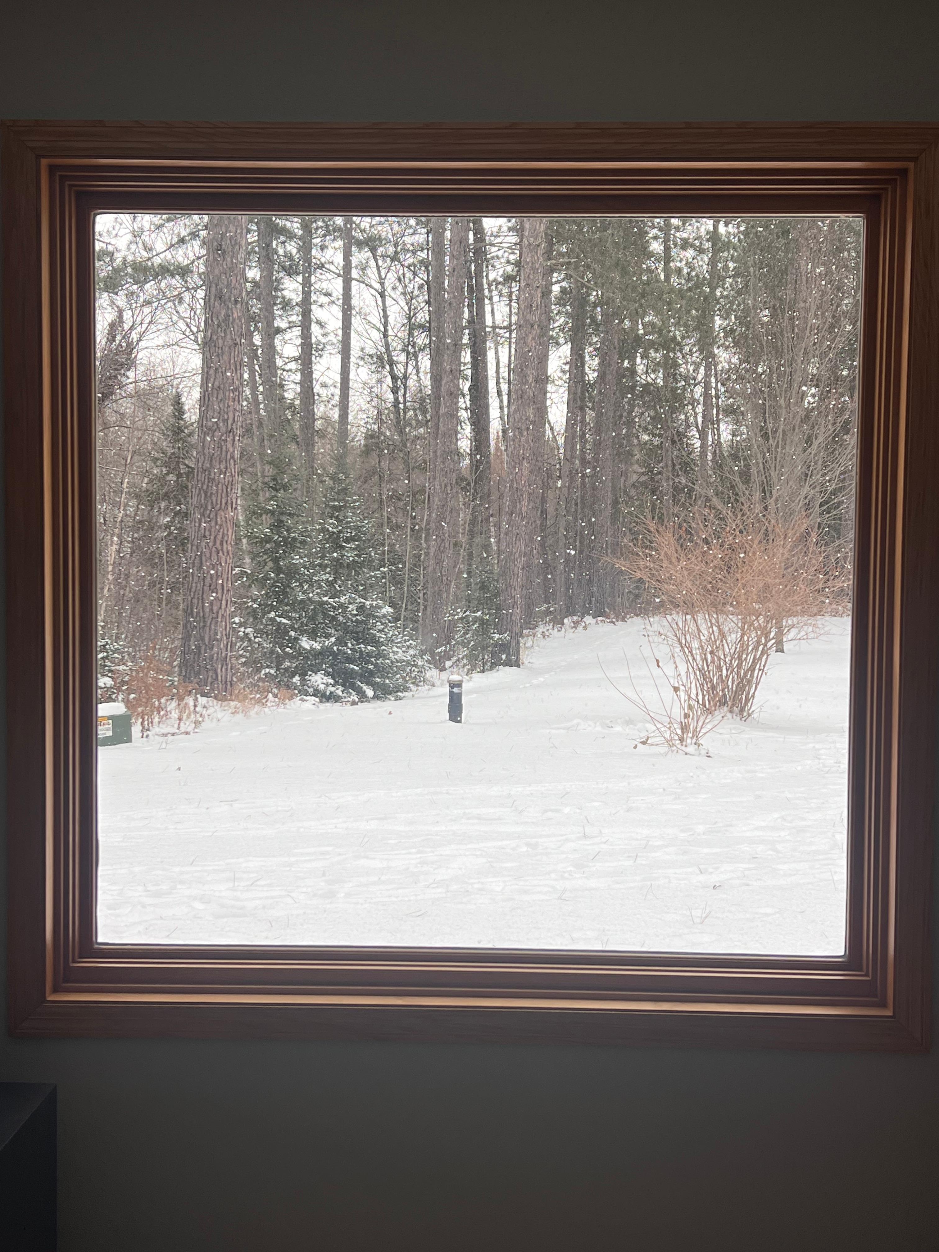 Looking out one of the kitchen windows