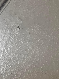 Water damaged drywall