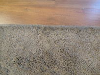 One picture of the couch pillow that appears green but was stained a dingy dirt color