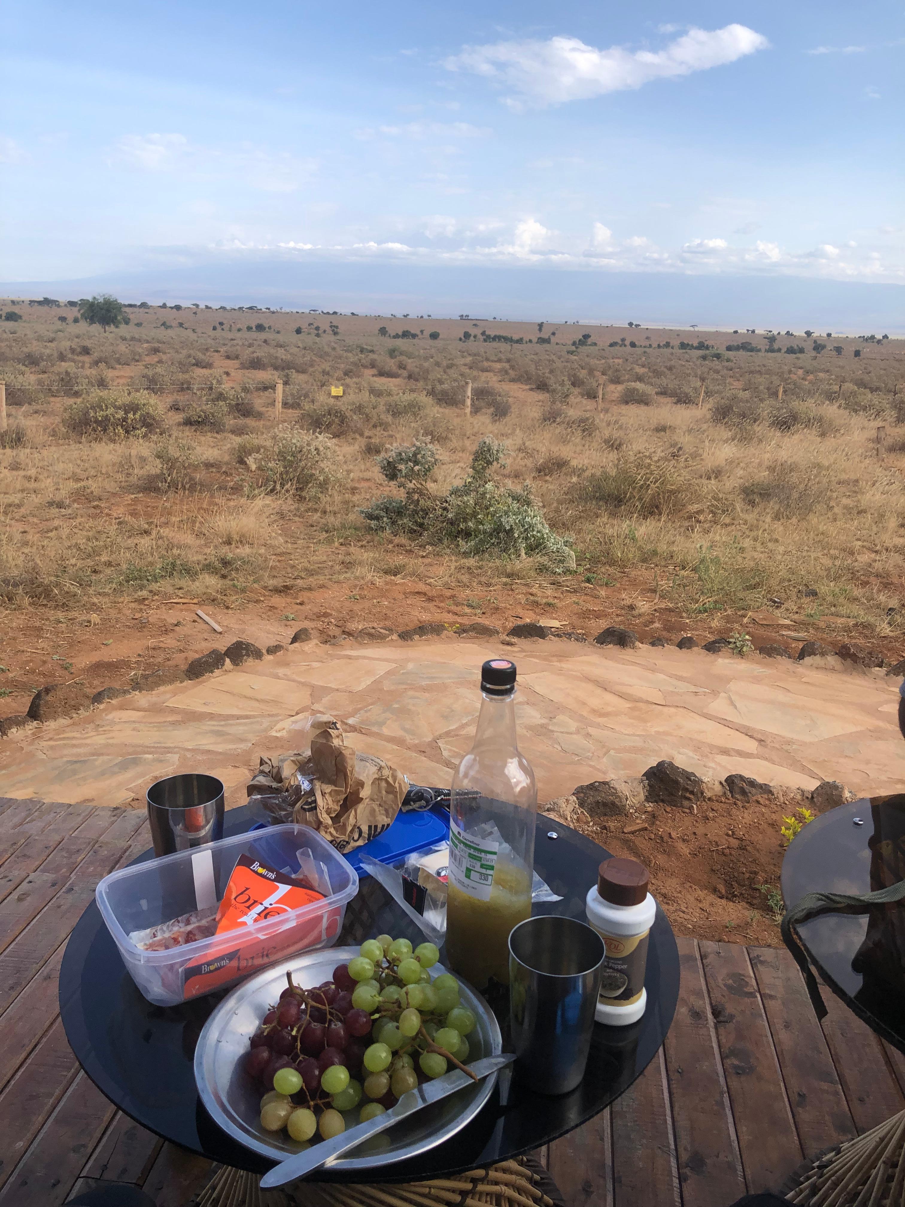 Looking at out at mt.Kilimanjaro 