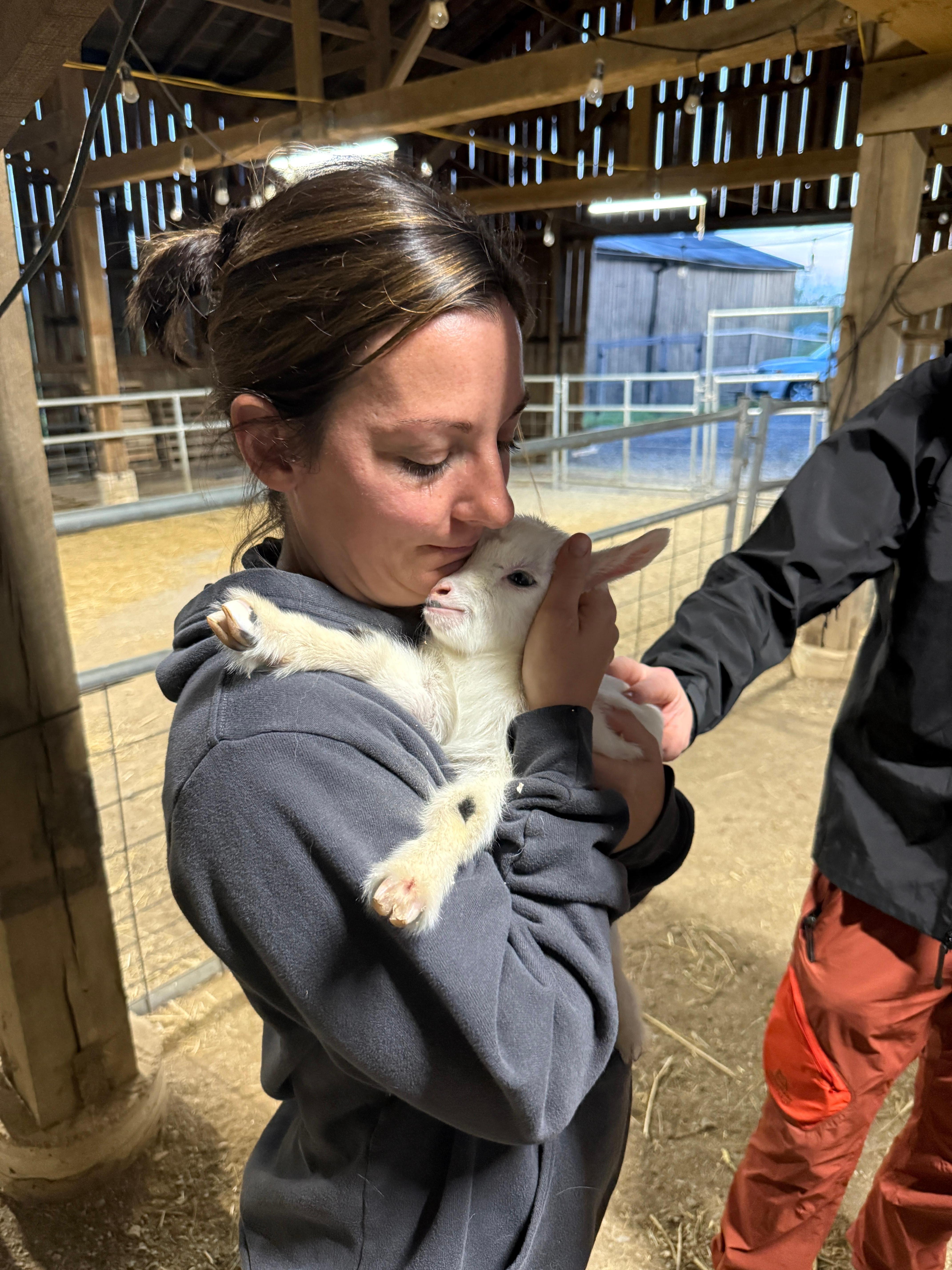 New baby goat!