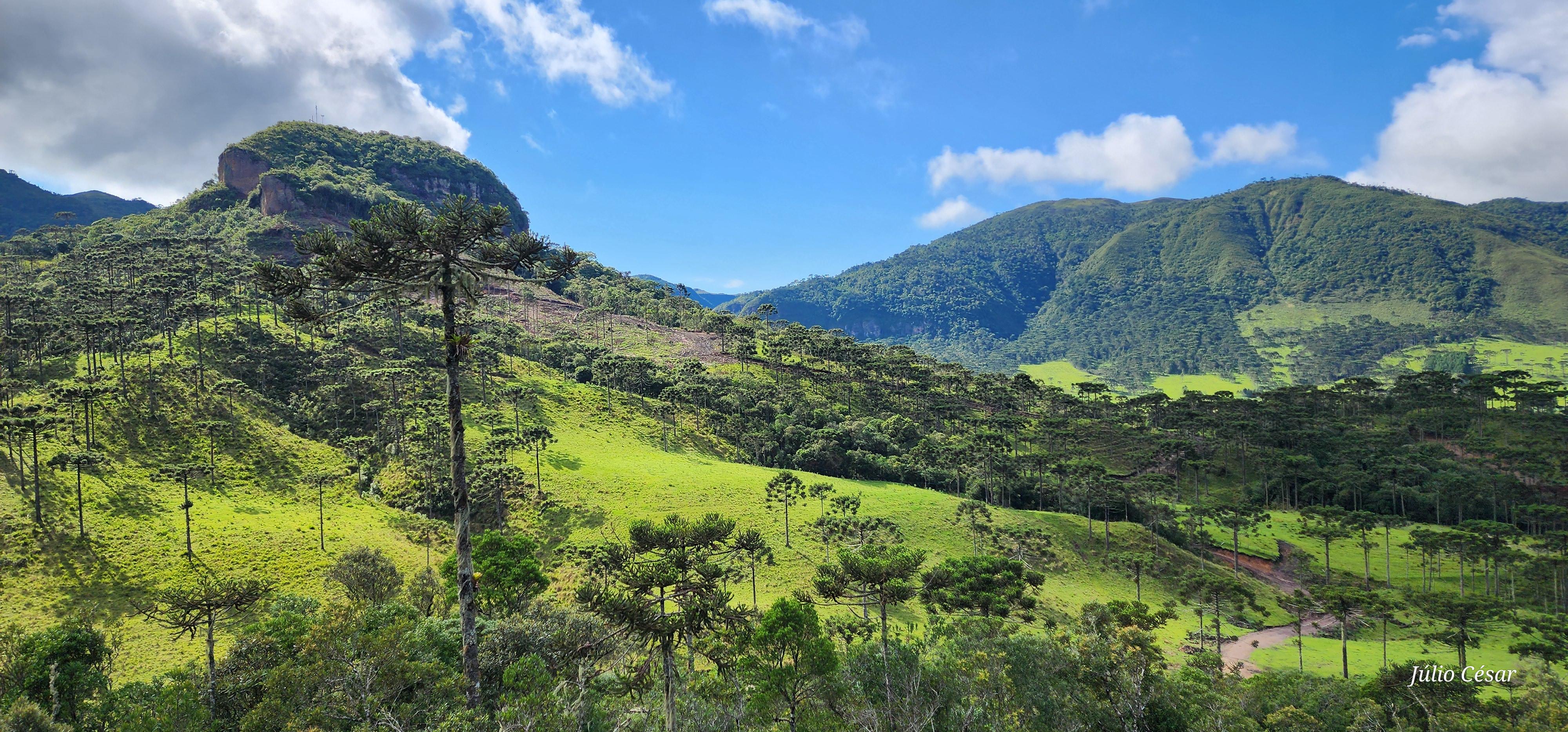 Vista do Chalé.