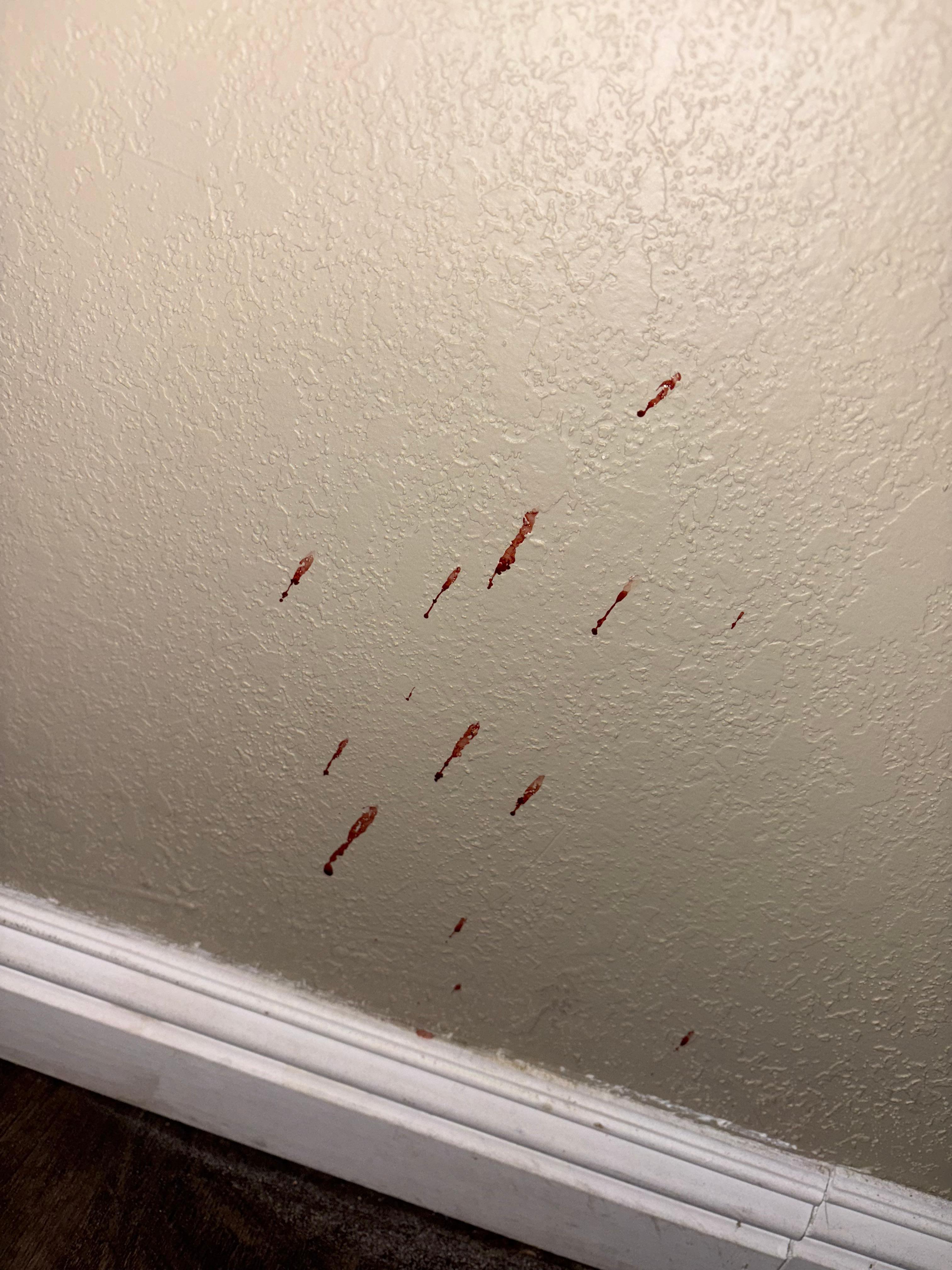 Blood on wall