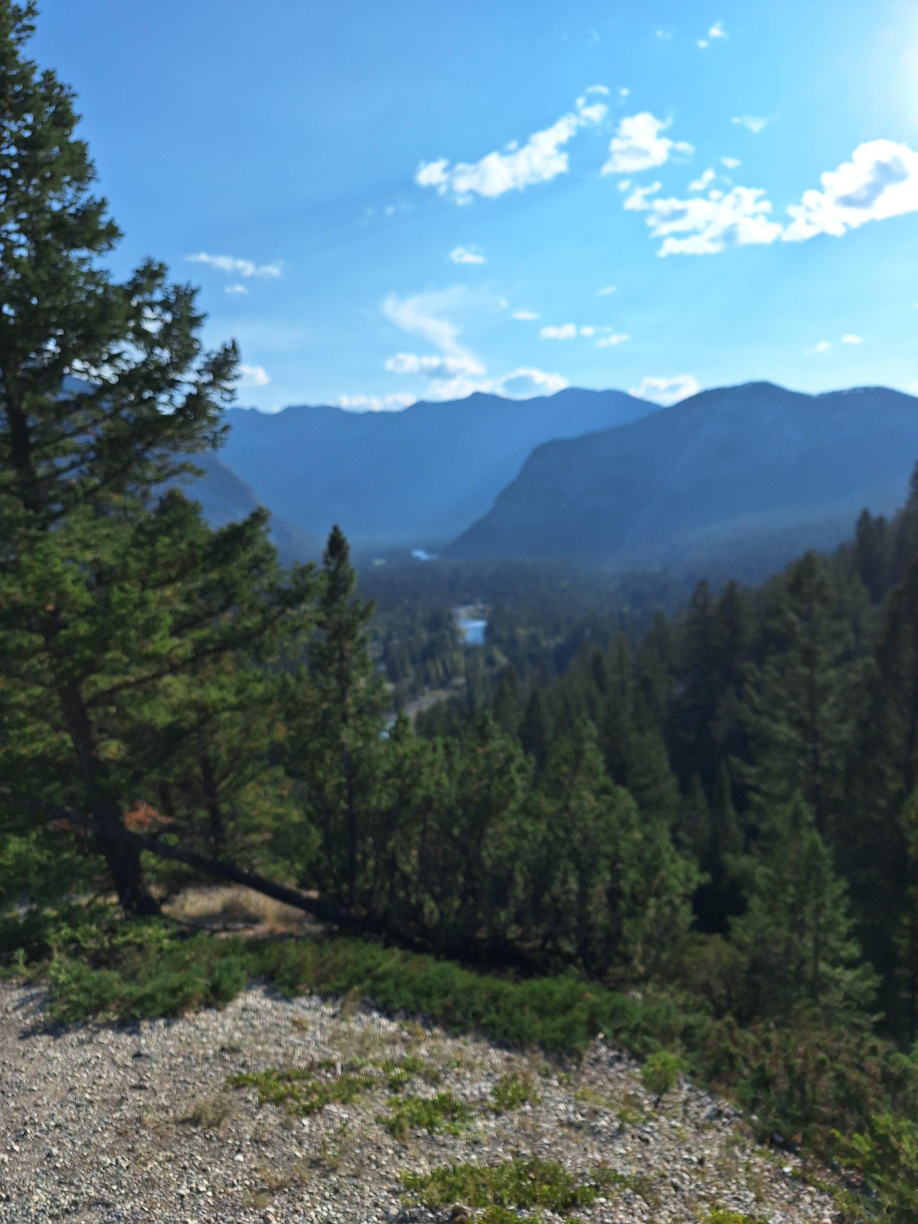 These pictures are right out the door on trail.