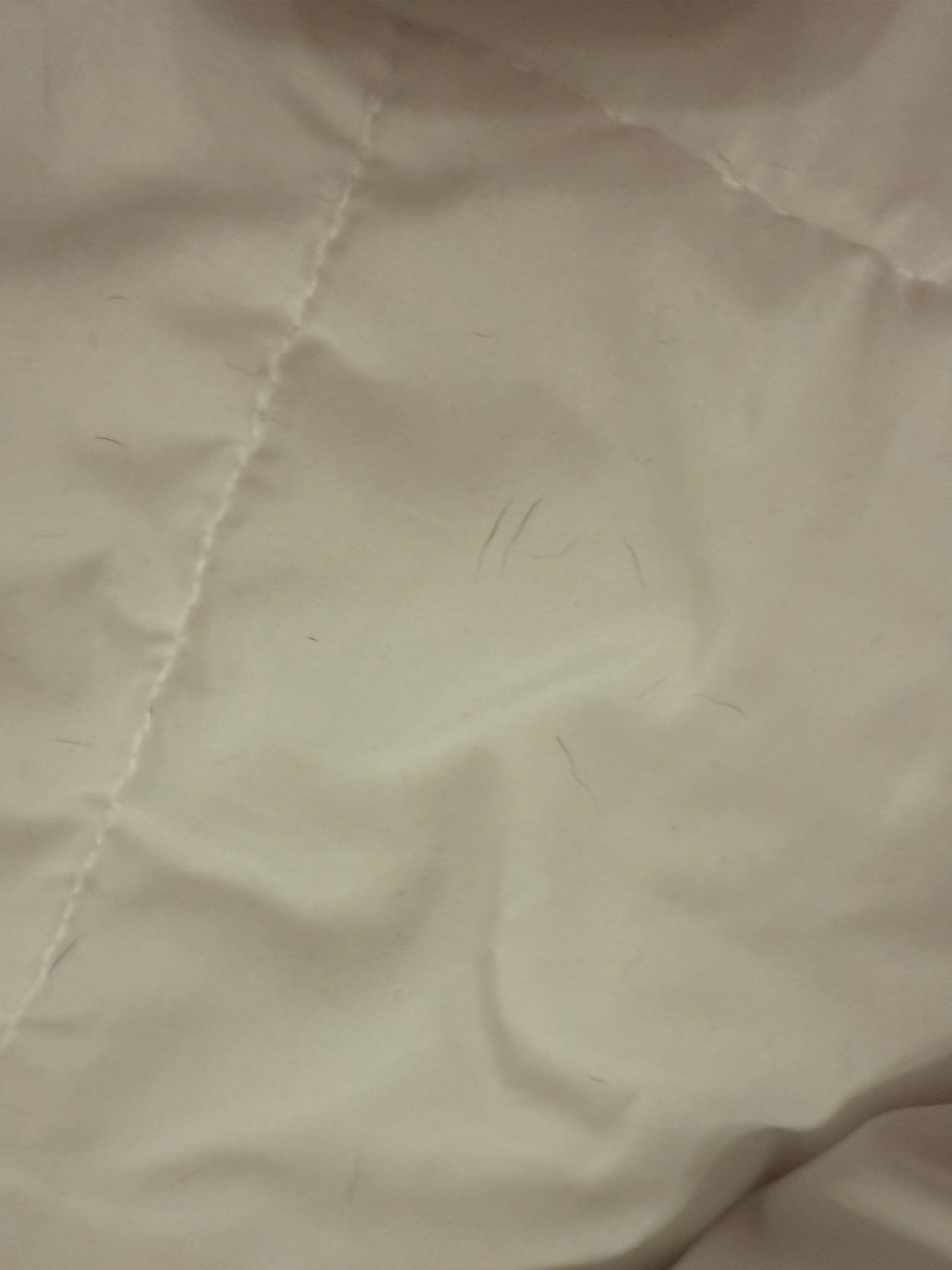 Dog hair in comforter