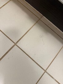 The floors were not really cleaned after the weekly cleaning service.