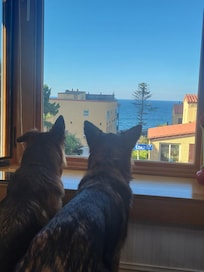 Look8 g at the view!