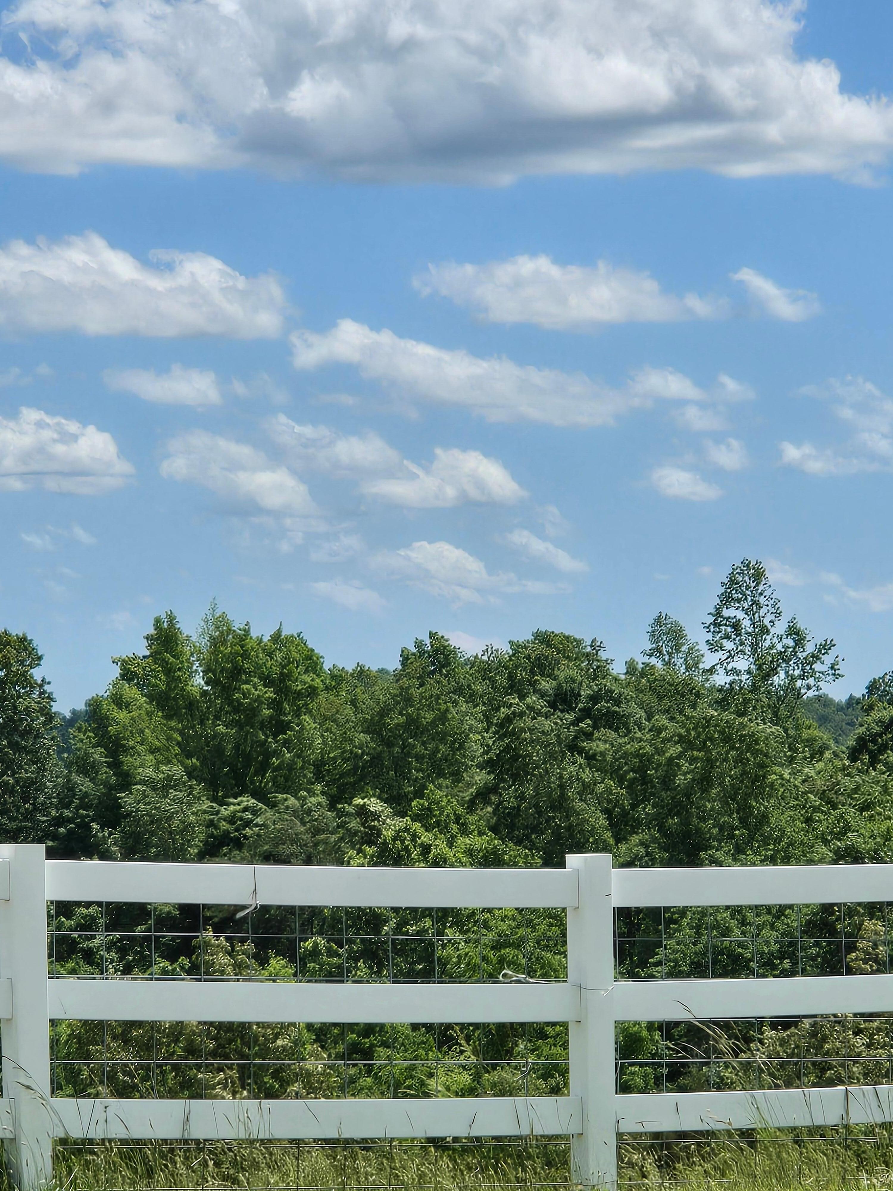 Brilliantly blue sky peppered with fluffy white clouds...our wonderful view