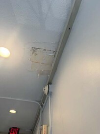 Multiple ceilings have this stain and mold.