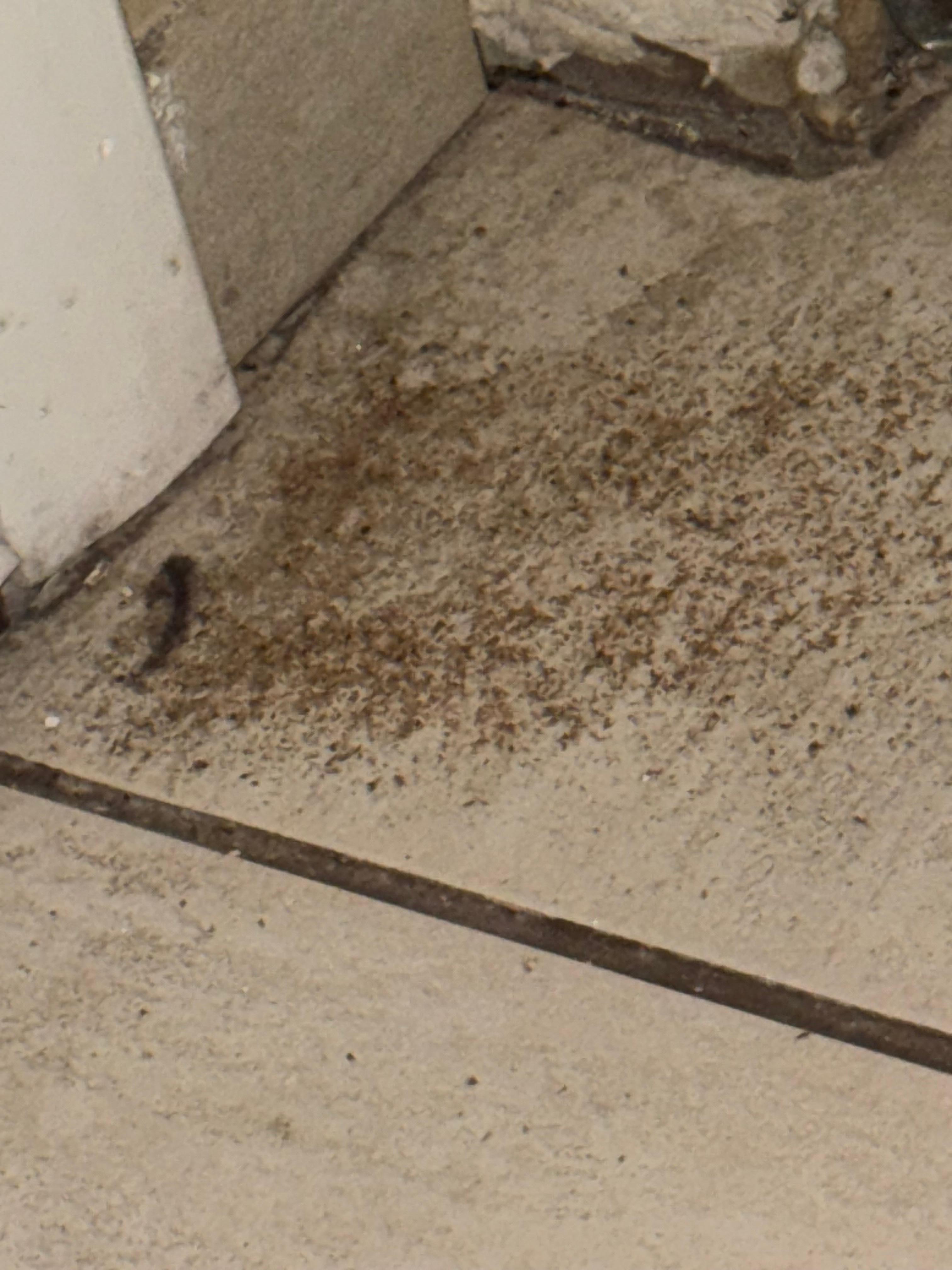 Kitchen floor