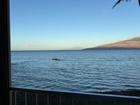 Watching the campers from the balcony