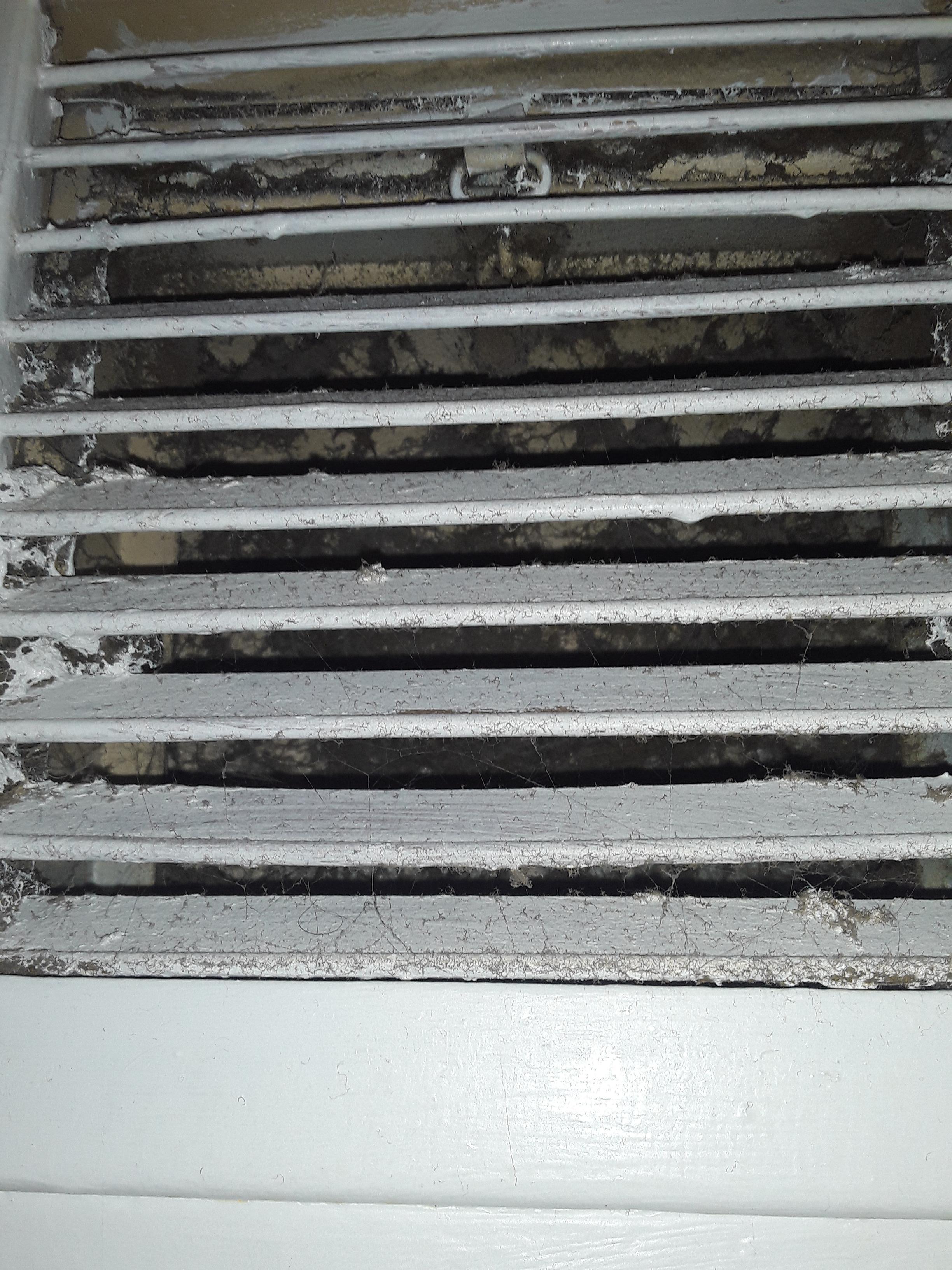 The dirty, creepy vent over the shower.