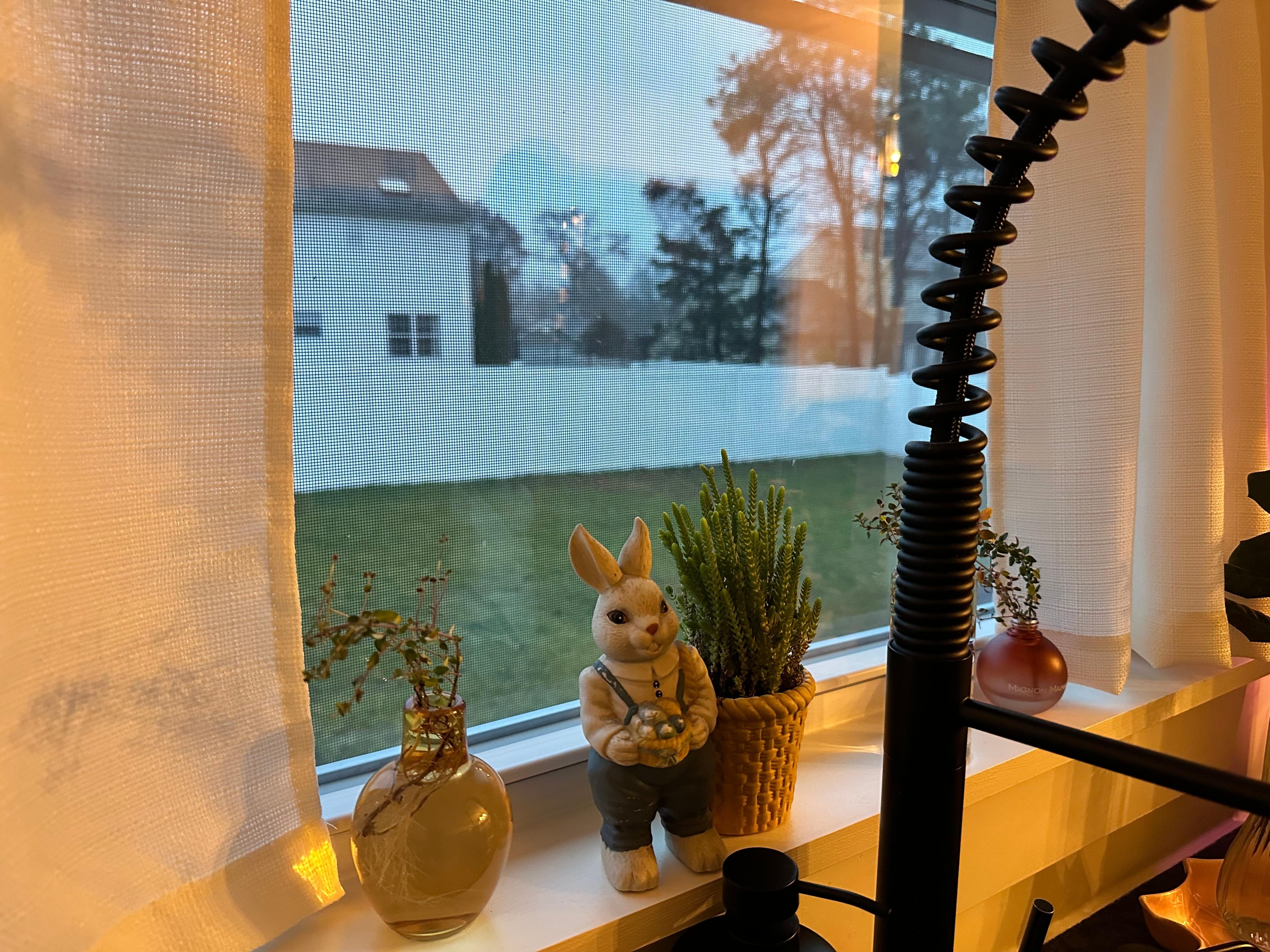 Cute little homey details throughout 