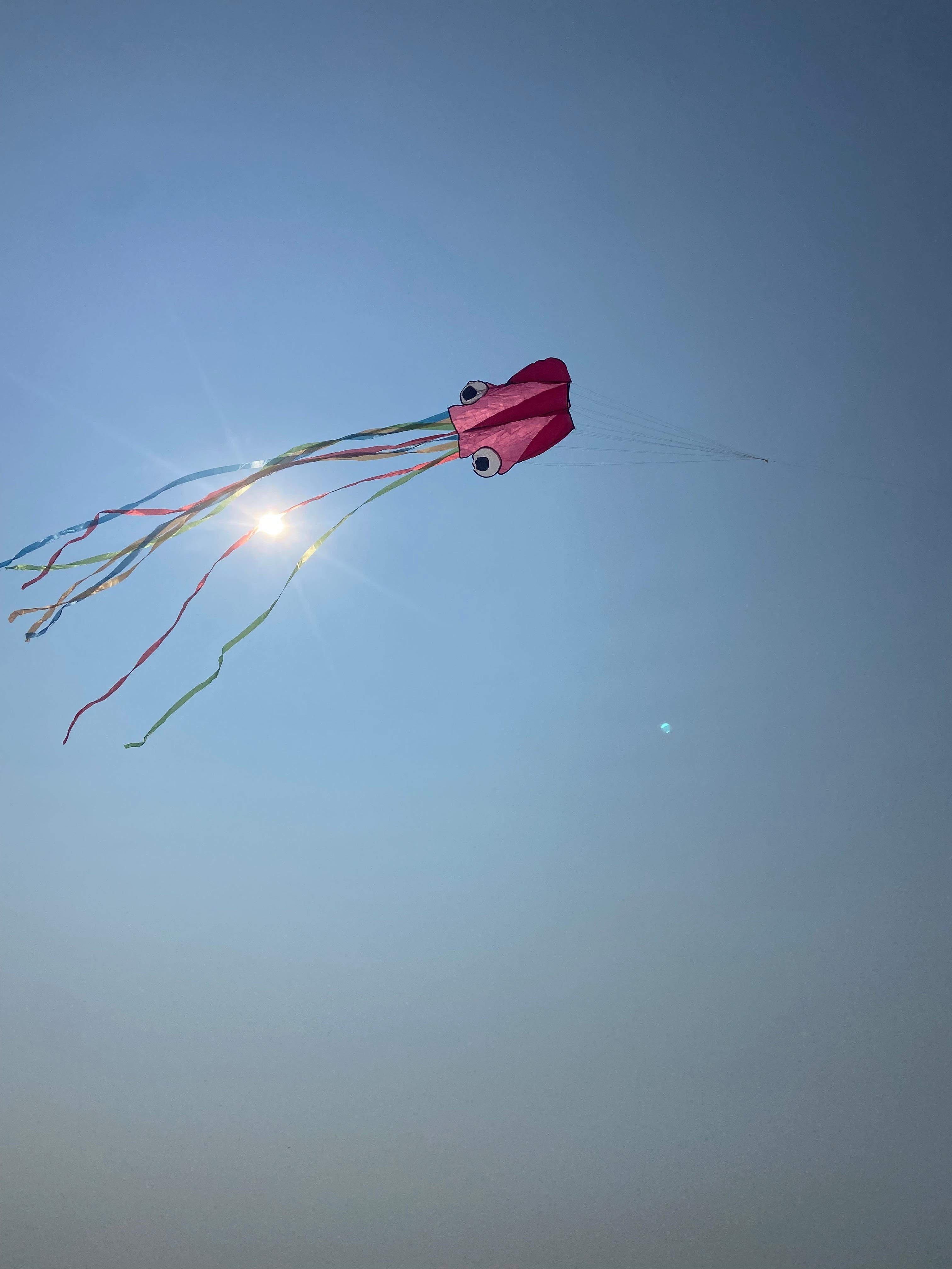 Got to fly the octopus 🐙 kite for a bit