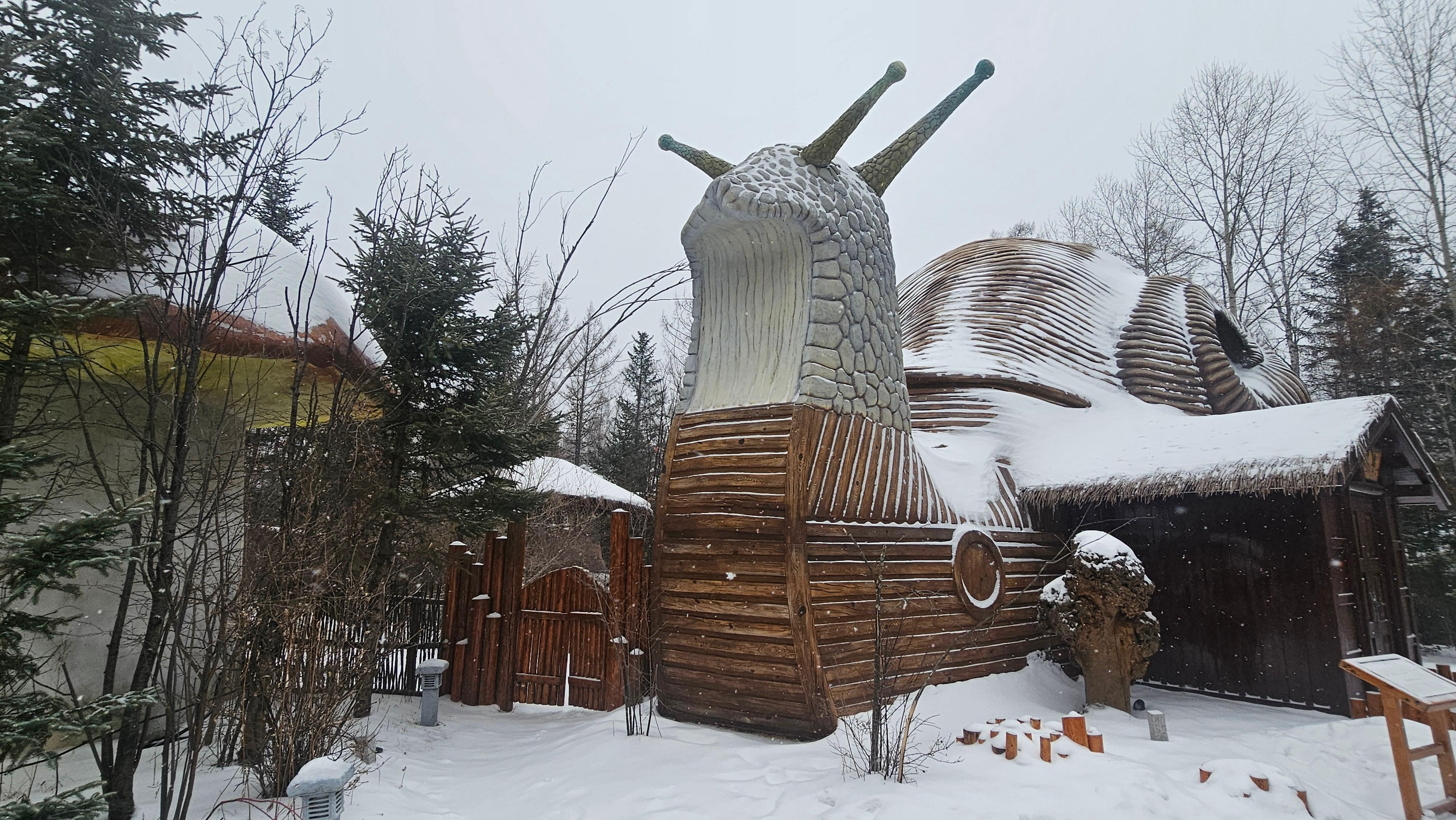 There is also room near the animal area that stay in nature for family ! 