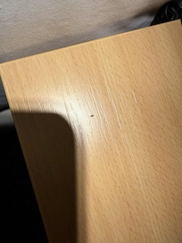 A small animal from the bed put on the bed side table.