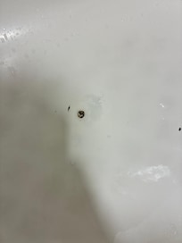 Mold and dirty bathtub